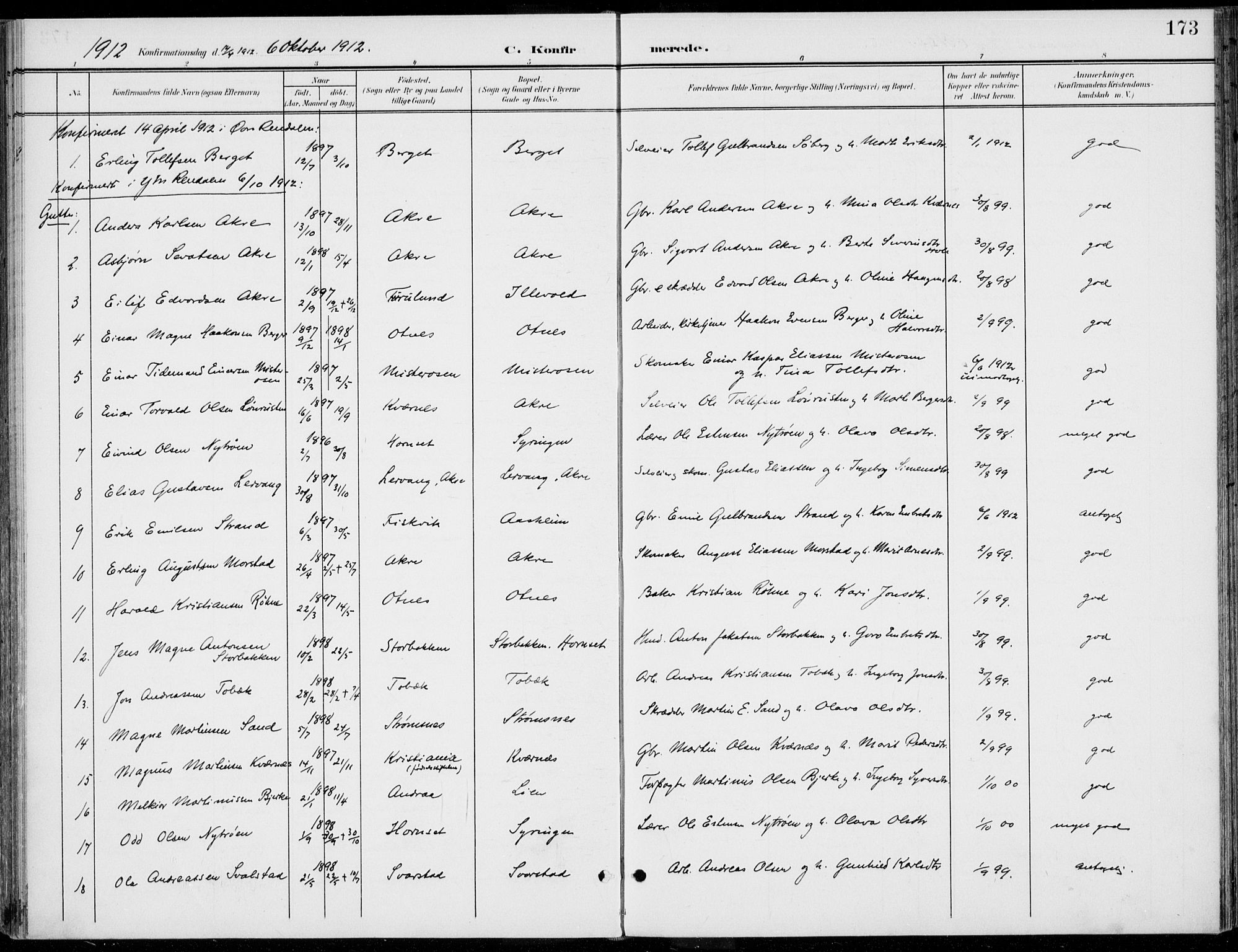 Rendalen prestekontor, SAH/PREST-054/H/Ha/Haa/L0011: Parish register (official) no. 11, 1901-1925, p. 173