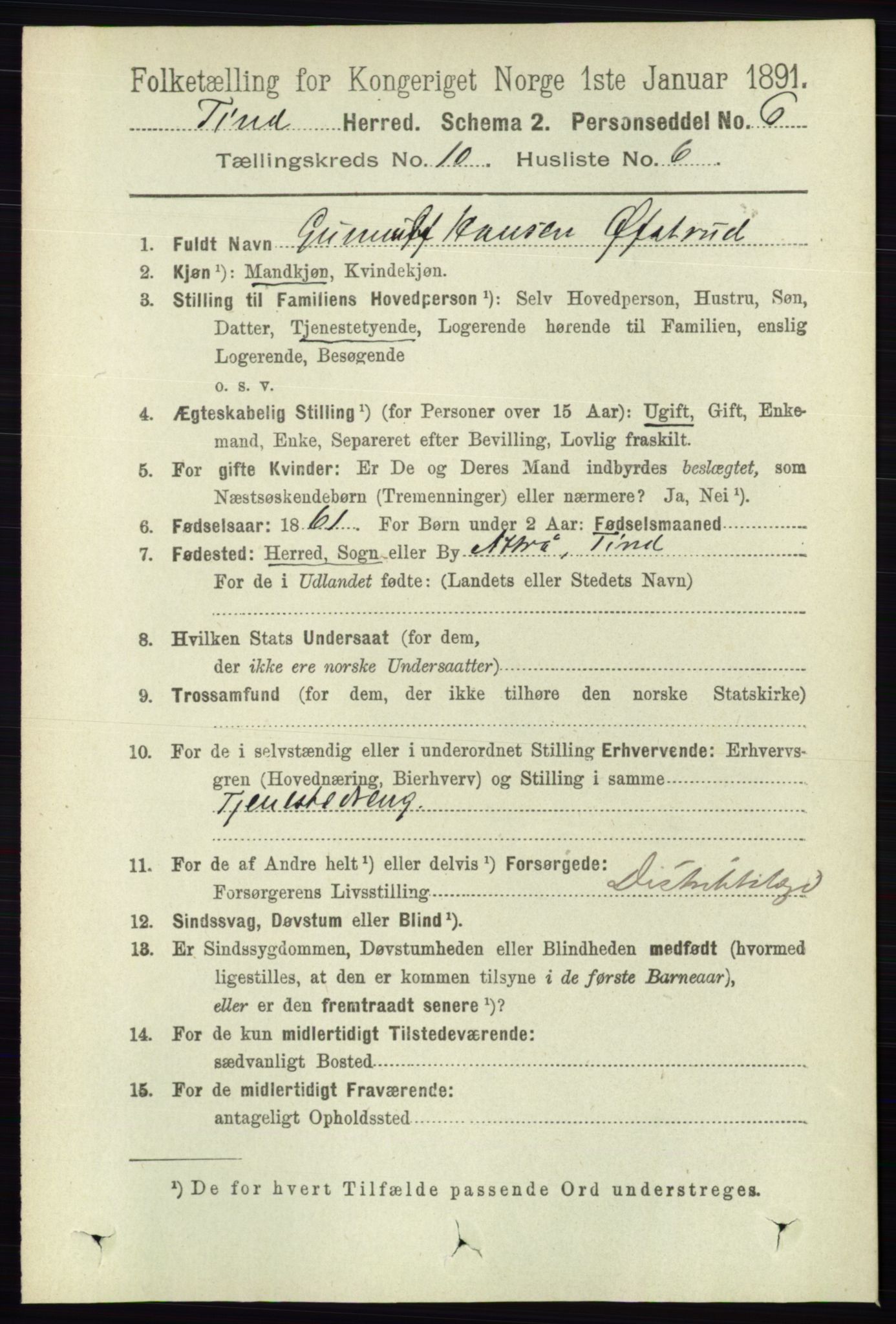 RA, 1891 census for 0826 Tinn, 1891, p. 2006