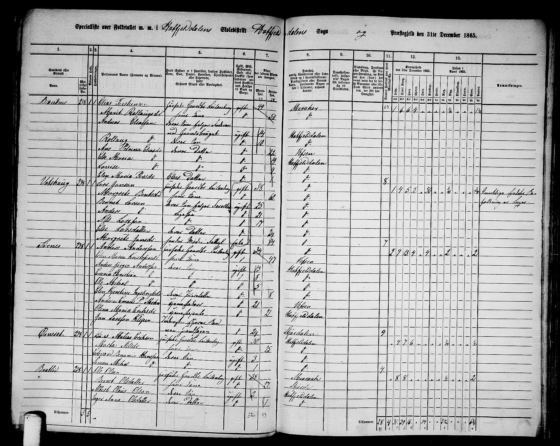 RA, 1865 census for Hattfjelldal, 1865, p. 8