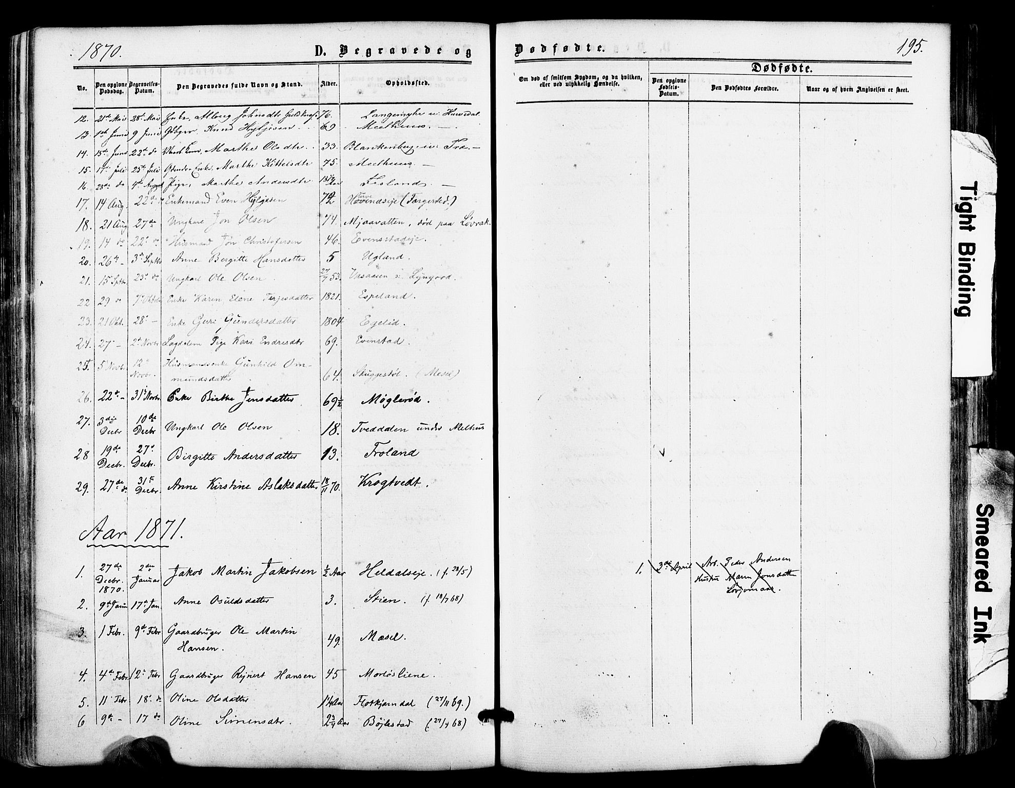 Froland sokneprestkontor, SAK/1111-0013/F/Fa/L0003: Parish register (official) no. A 3, 1864-1881, p. 195