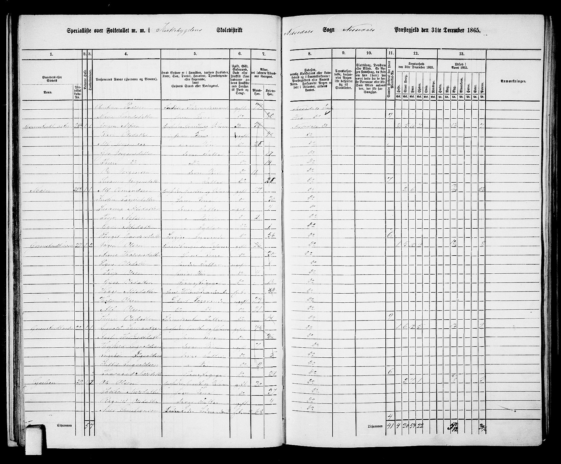 RA, 1865 census for Nissedal, 1865, p. 26