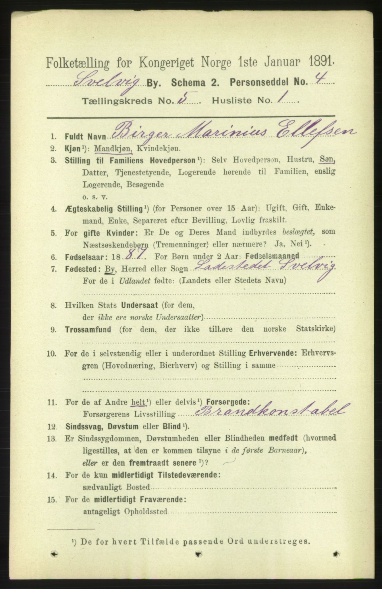 RA, 1891 census for 0701 Svelvik, 1891, p. 1842