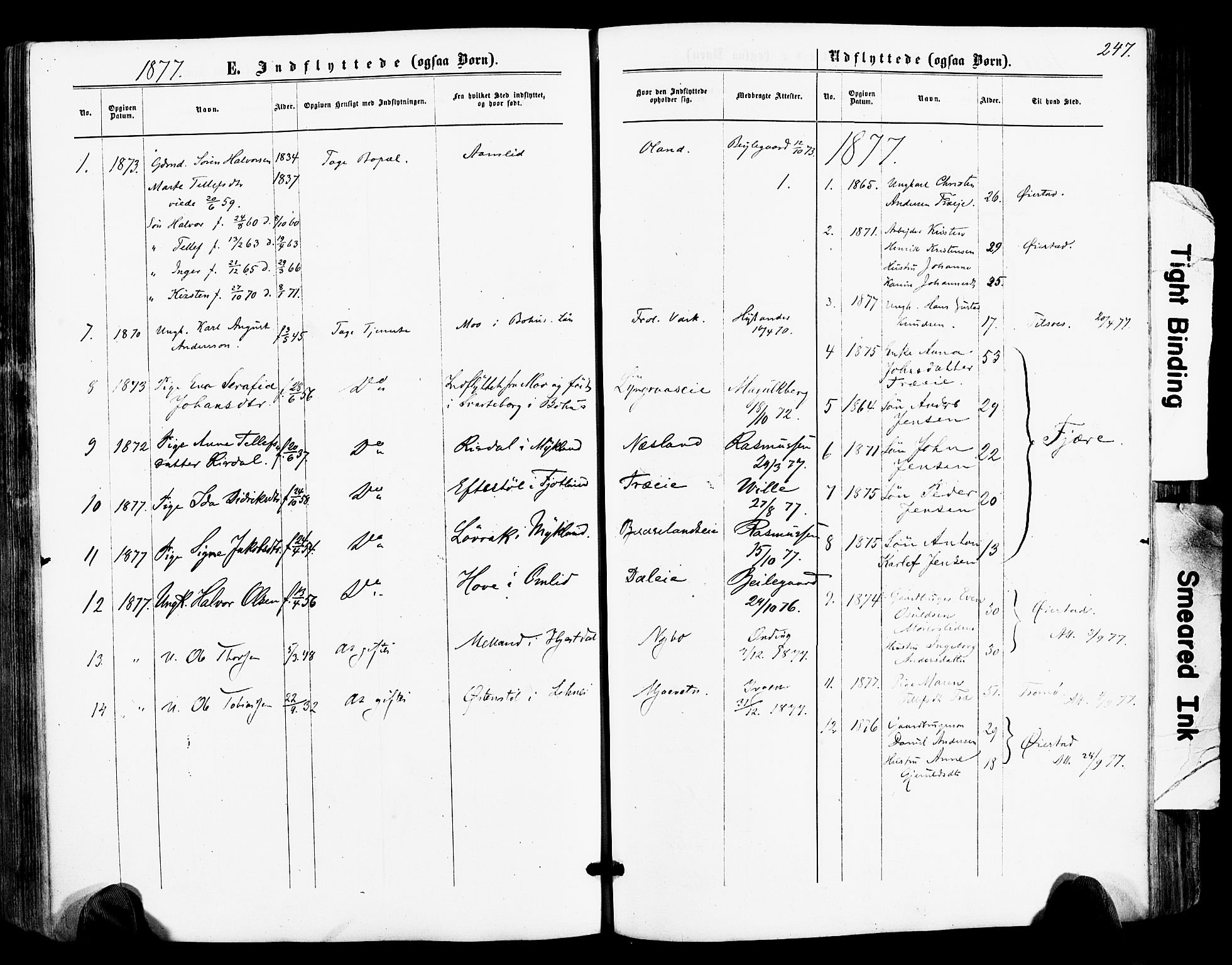 Froland sokneprestkontor, AV/SAK-1111-0013/F/Fa/L0003: Parish register (official) no. A 3, 1864-1881, p. 247