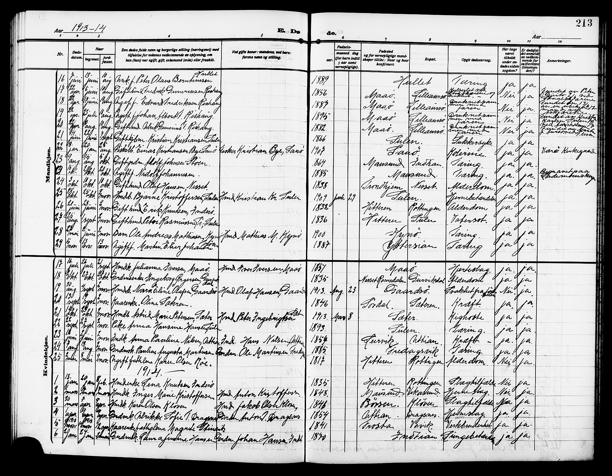 Ministerialprotokoller, klokkerbøker og fødselsregistre - Sør-Trøndelag, SAT/A-1456/640/L0588: Parish register (copy) no. 640C05, 1909-1922, p. 213