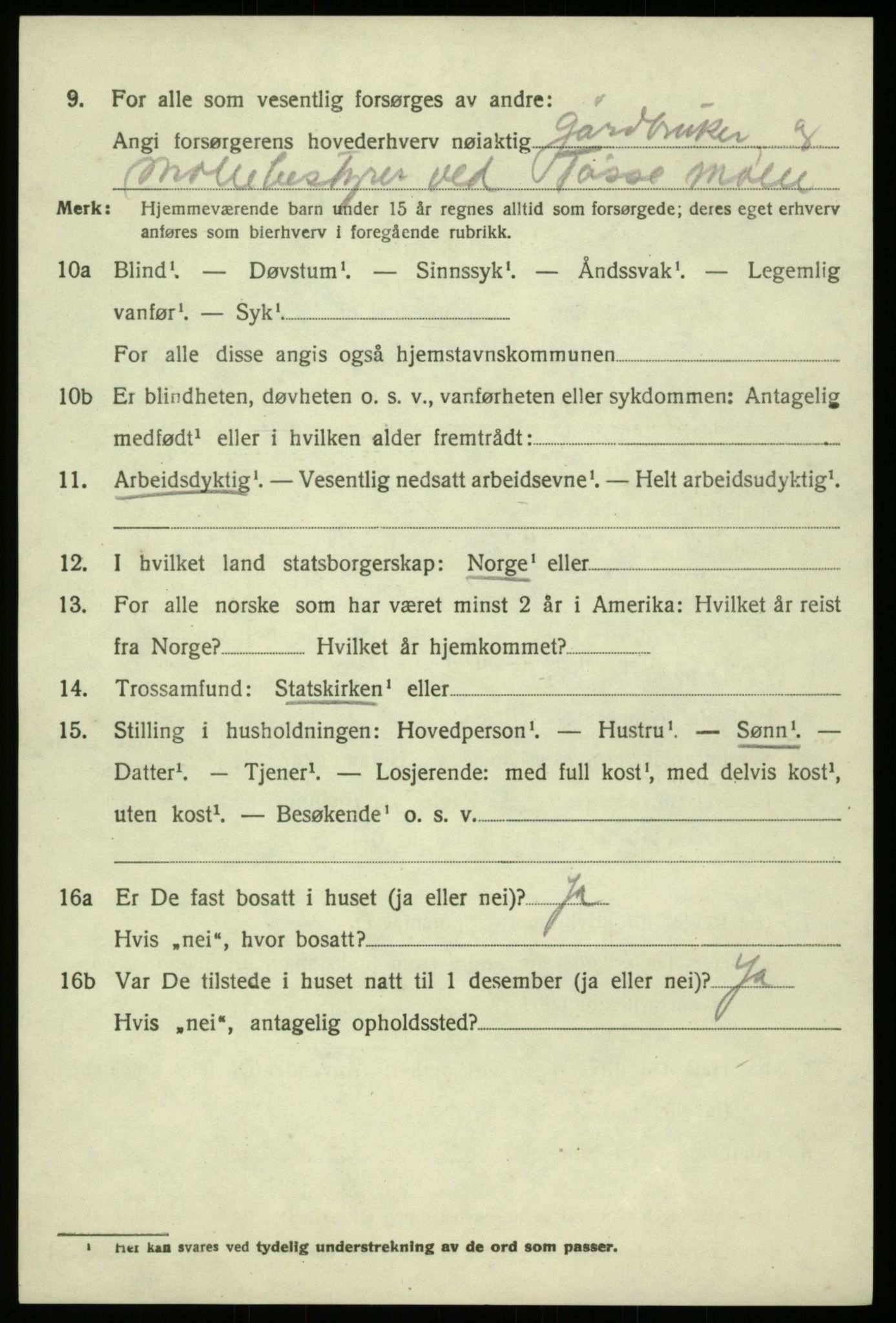 SAB, 1920 census for Hosanger, 1920, p. 4250