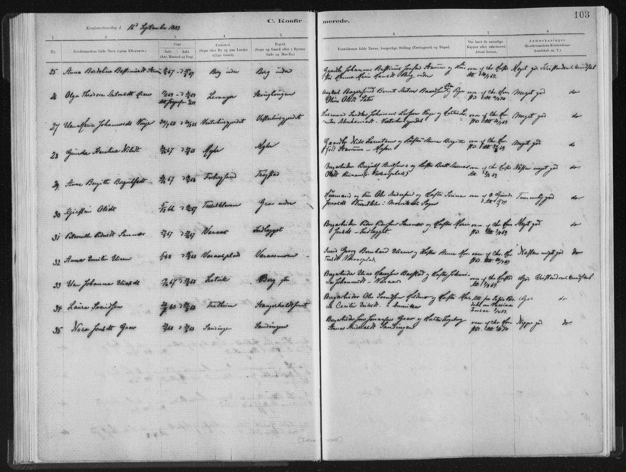 Ministerialprotokoller, klokkerbøker og fødselsregistre - Nord-Trøndelag, SAT/A-1458/722/L0220: Parish register (official) no. 722A07, 1881-1908, p. 103