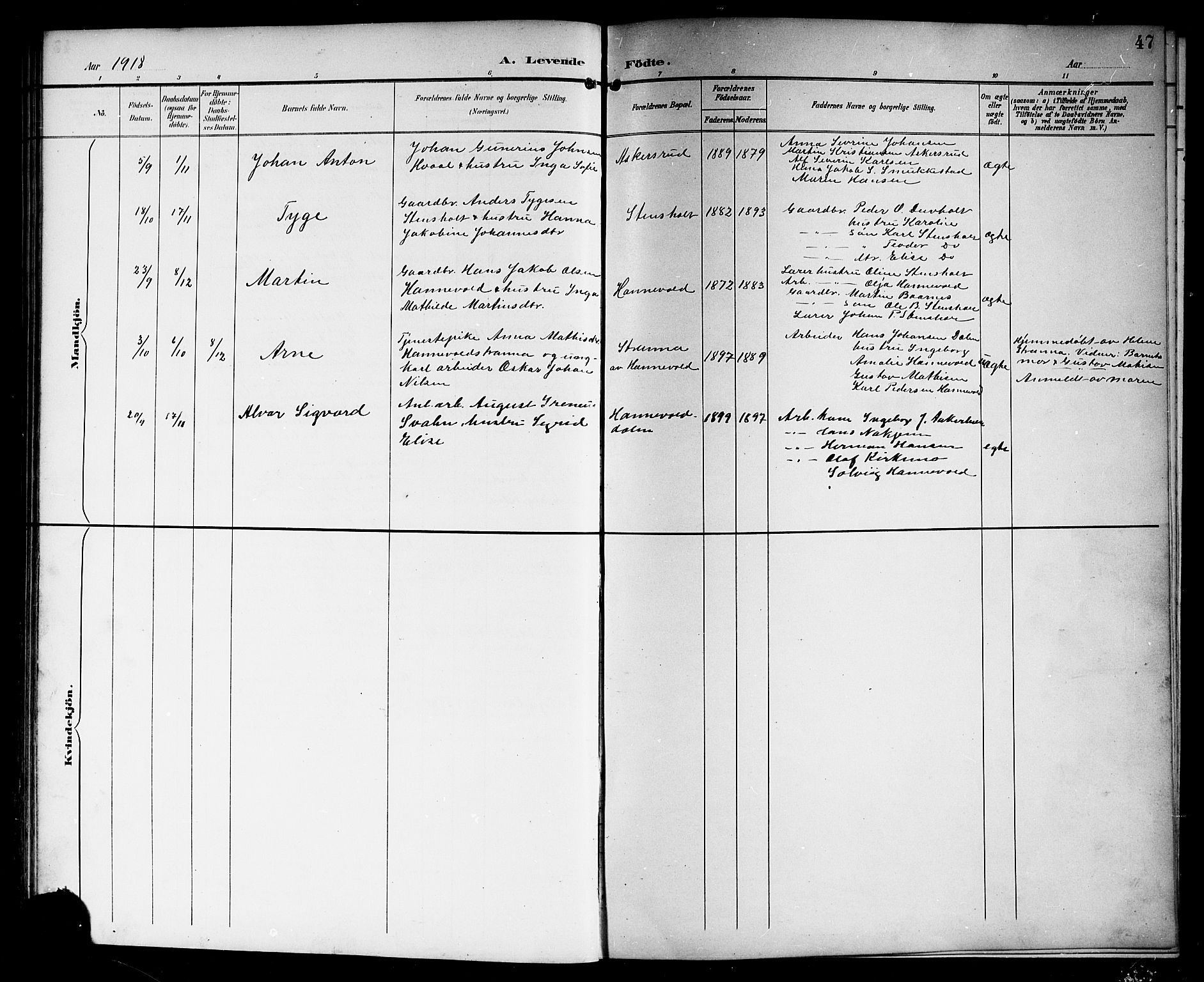 Lardal kirkebøker, AV/SAKO-A-350/G/Gc/L0002: Parish register (copy) no. III 2, 1894-1918, p. 47