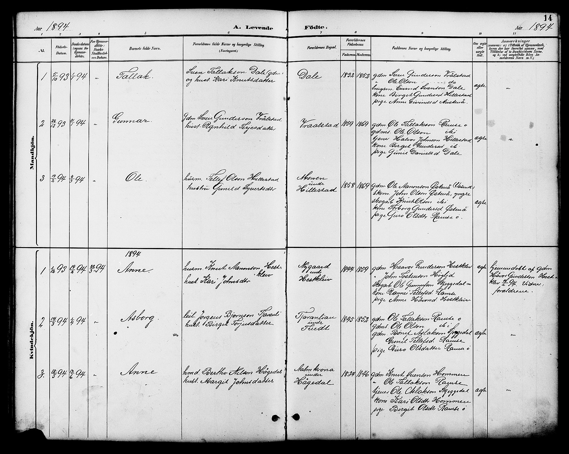 Åmli sokneprestkontor, AV/SAK-1111-0050/F/Fb/Fbb/L0002: Parish register (copy) no. B 2, 1890-1905, p. 14