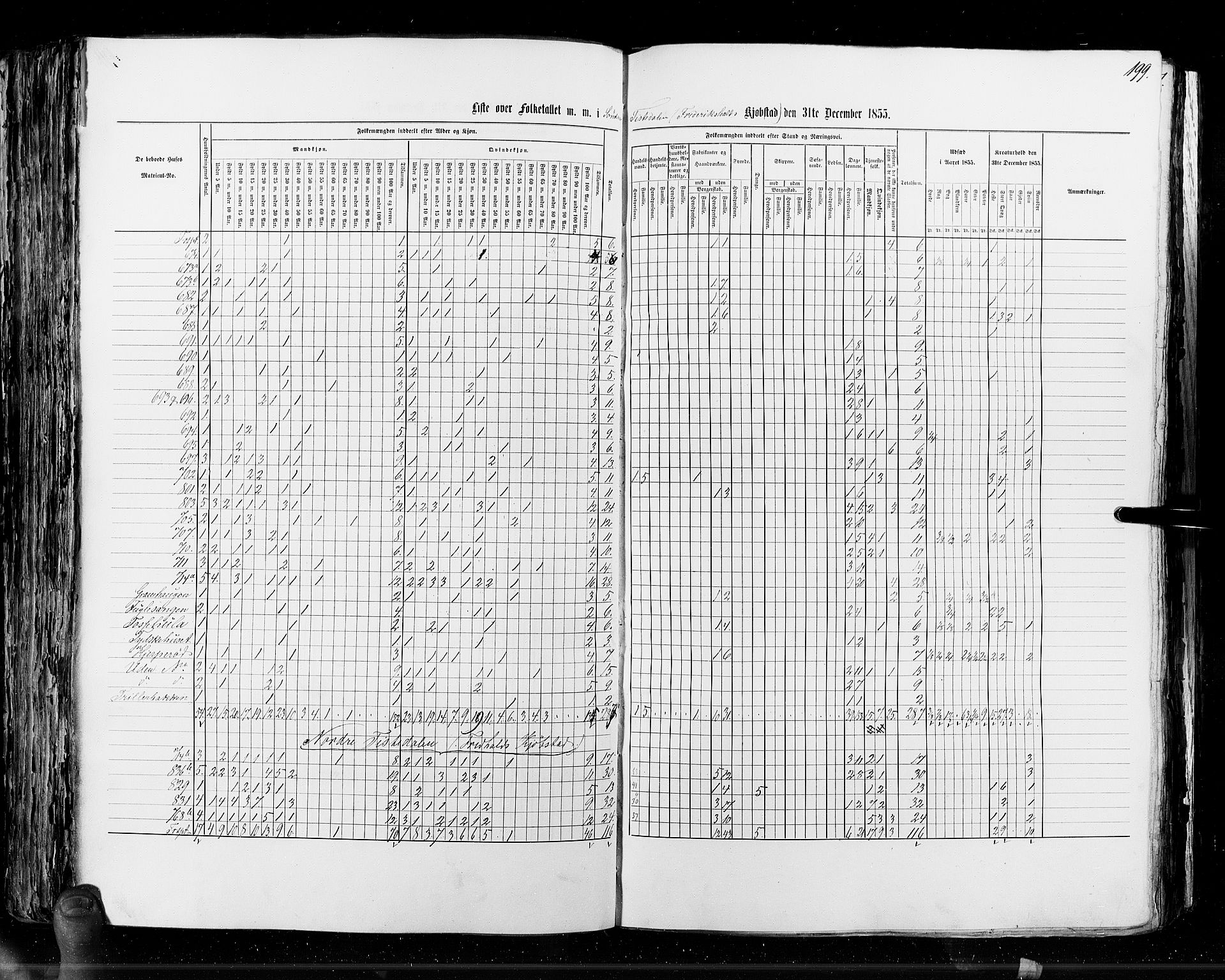 RA, Census 1855, vol. 7: Fredrikshald-Kragerø, 1855, p. 199