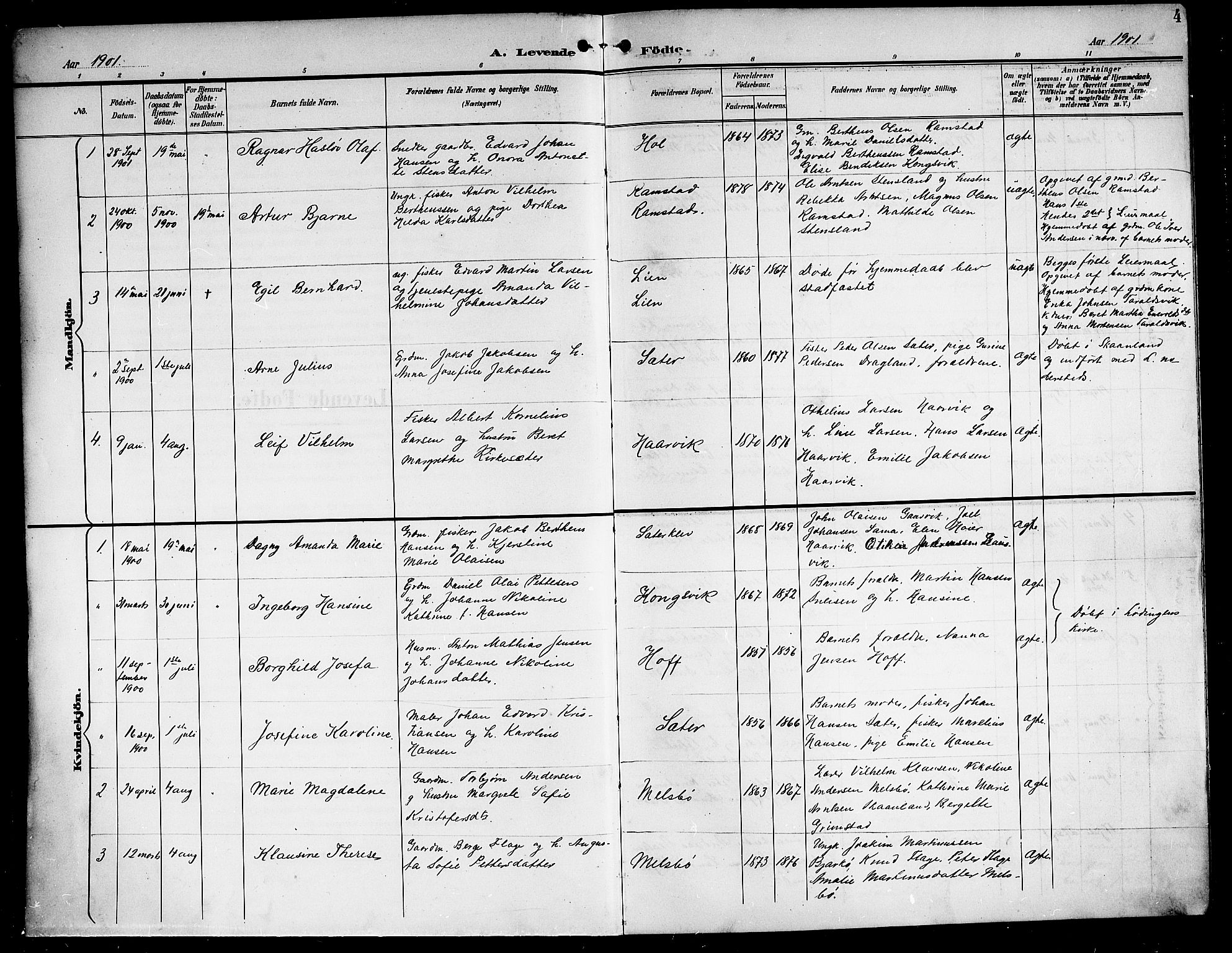 Ministerialprotokoller, klokkerbøker og fødselsregistre - Nordland, AV/SAT-A-1459/865/L0932: Parish register (copy) no. 865C04, 1901-1917, p. 4