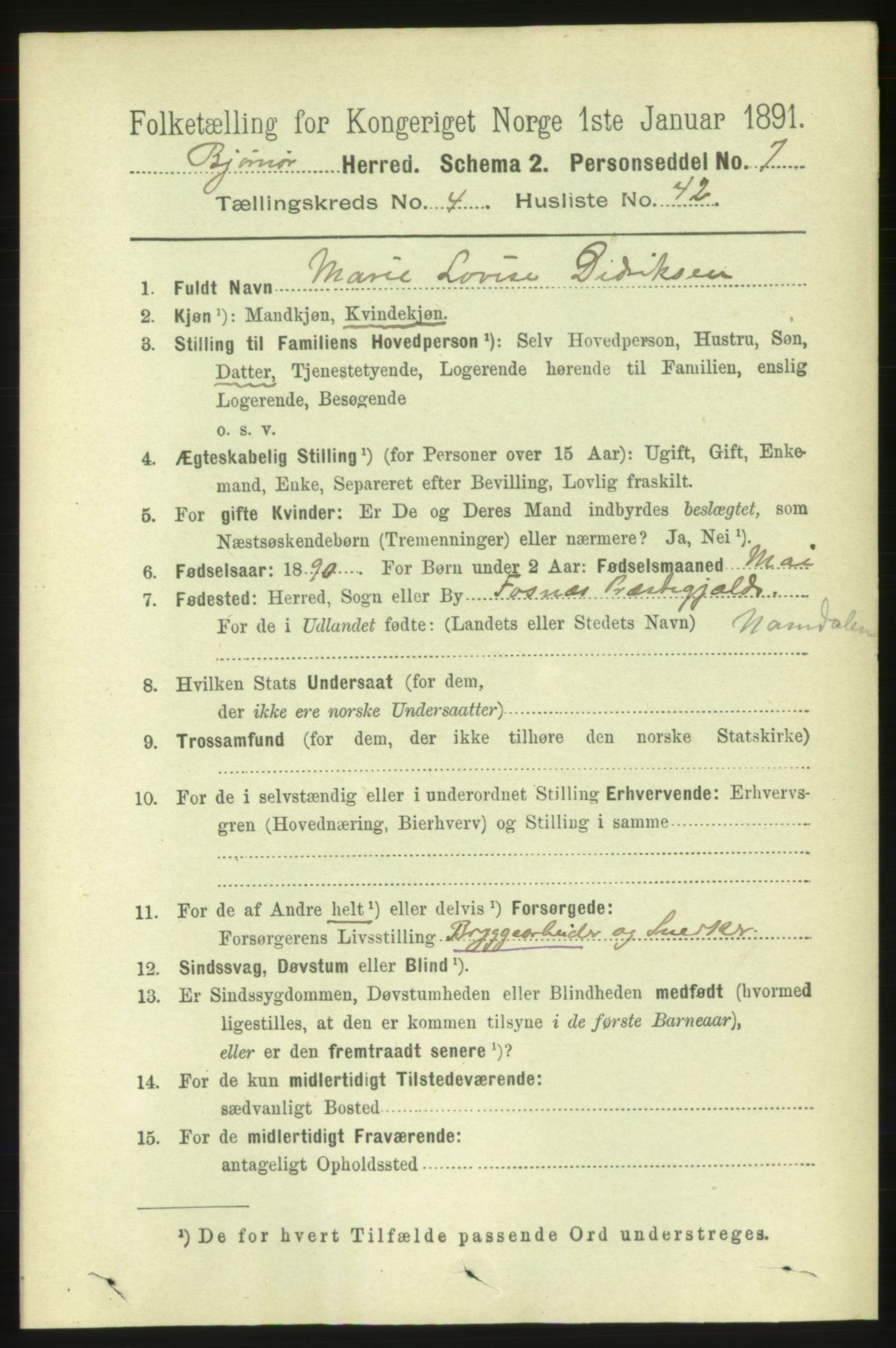 RA, 1891 census for 1632 Bjørnør, 1891, p. 2118