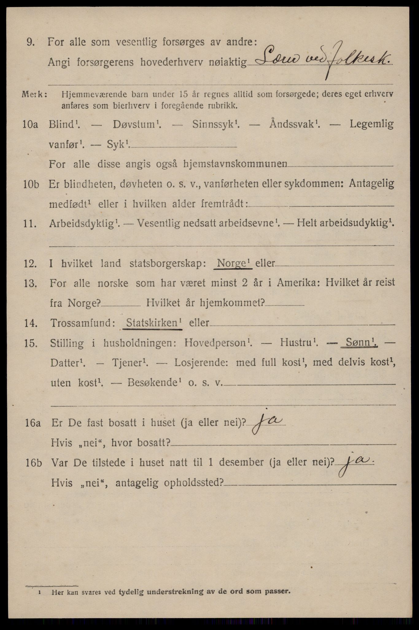 SAKO, 1920 census for Tinn, 1920, p. 5085