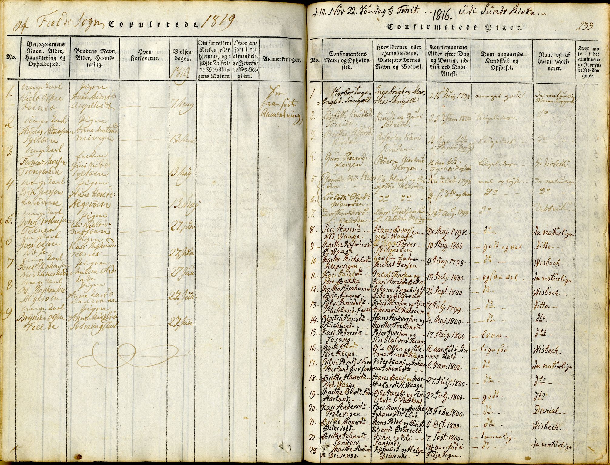 Sund sokneprestembete, SAB/A-99930: Parish register (official) no. A 11, 1814-1825, p. 233