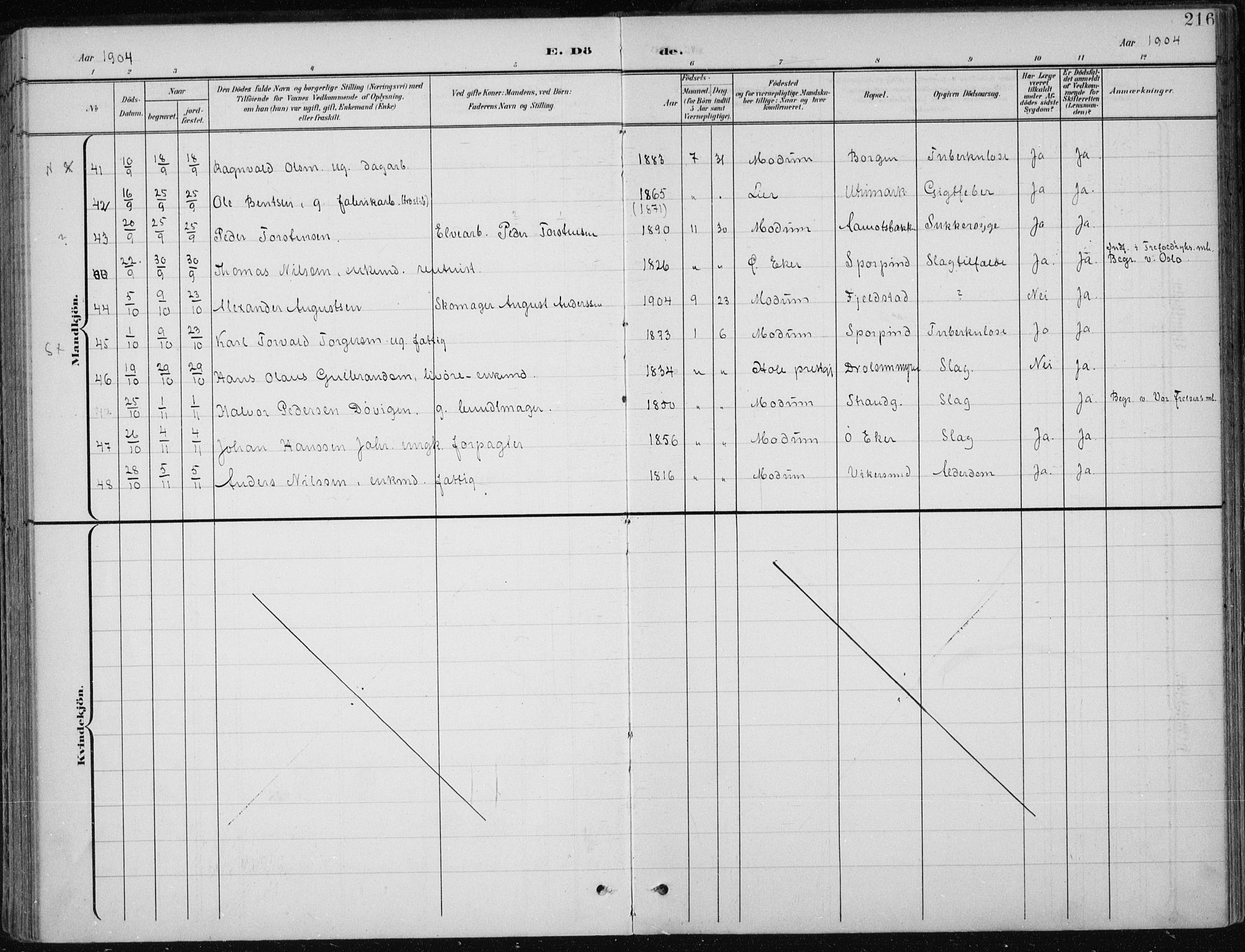 Modum kirkebøker, AV/SAKO-A-234/F/Fa/L0013: Parish register (official) no. 13, 1899-1907, p. 216