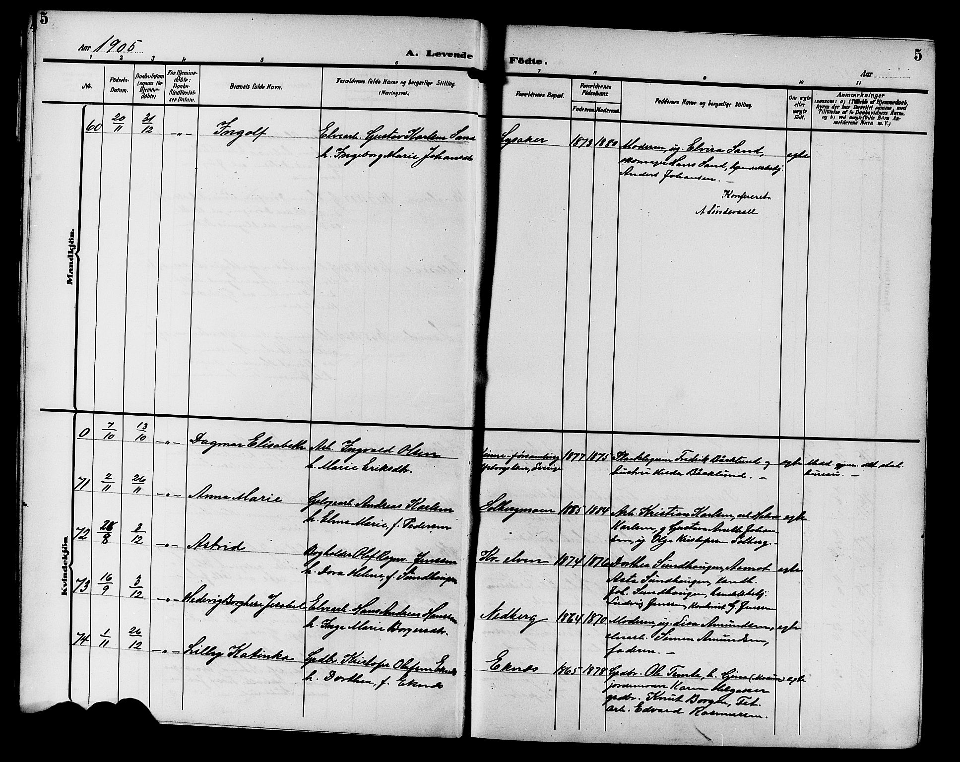 Nedre Eiker kirkebøker, AV/SAKO-A-612/G/Ga/L0004: Parish register (copy) no. 4, 1905-1912, p. 5