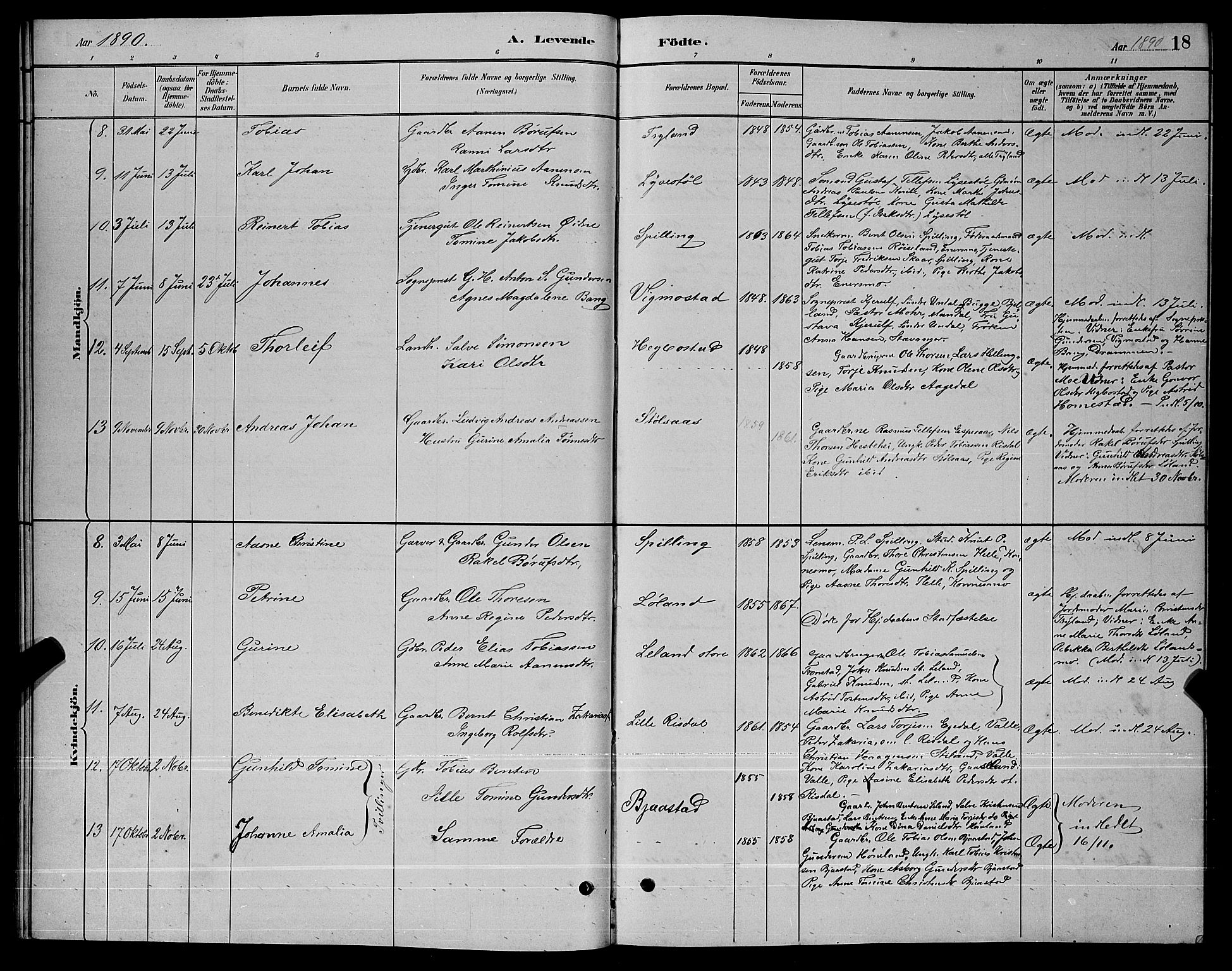 Nord-Audnedal sokneprestkontor, AV/SAK-1111-0032/F/Fb/Fbb/L0003: Parish register (copy) no. B 3, 1882-1900, p. 18