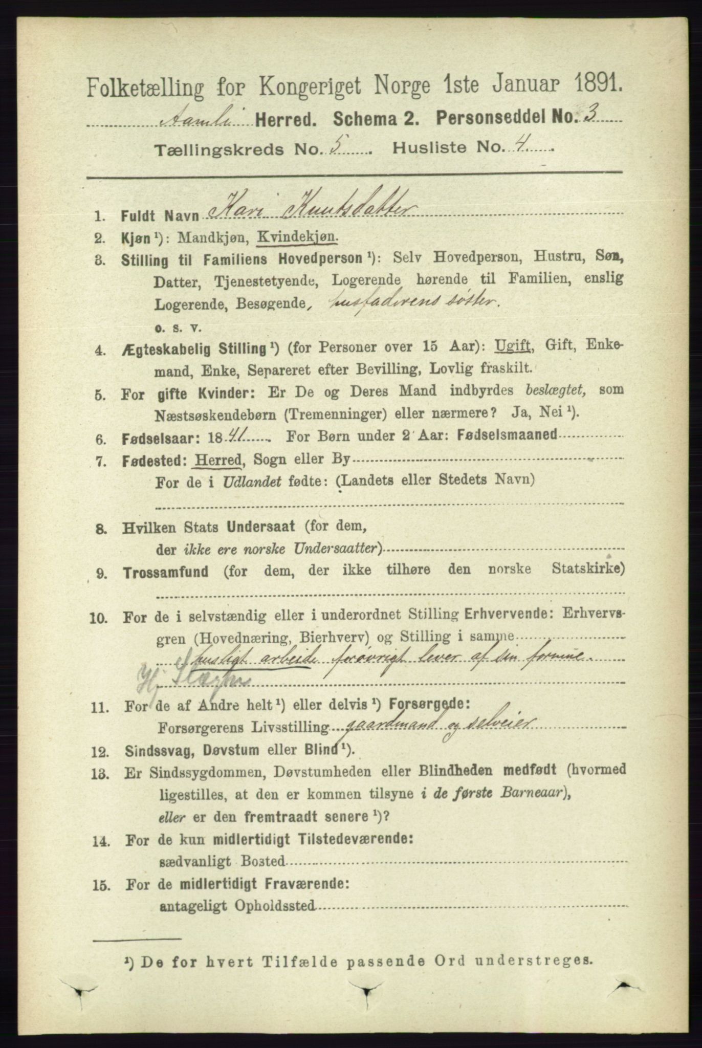 RA, 1891 census for 0929 Åmli, 1891, p. 705