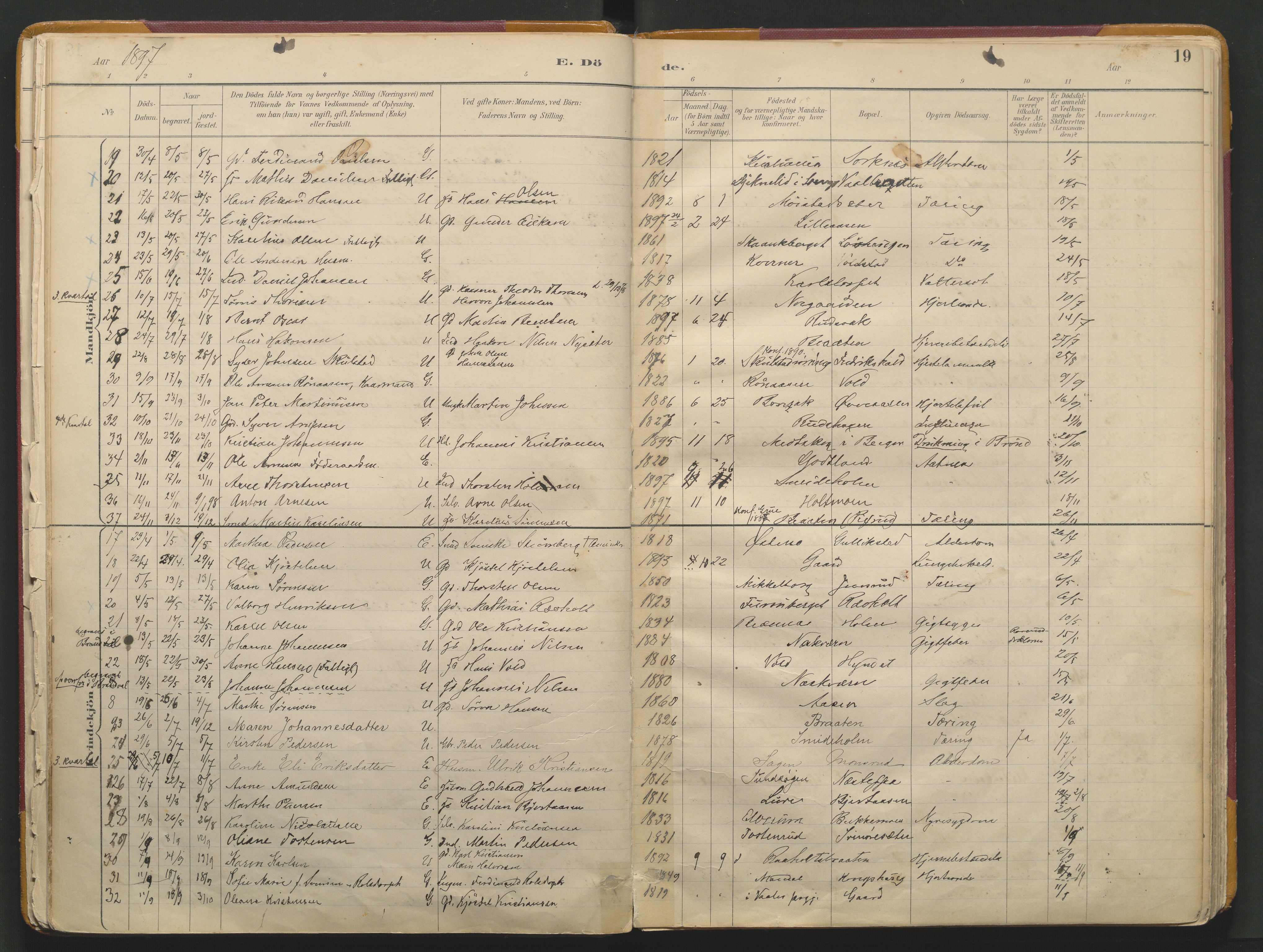 Grue prestekontor, SAH/PREST-036/H/Ha/Haa/L0017: Parish register (official) no. 17, 1892-1936, p. 19