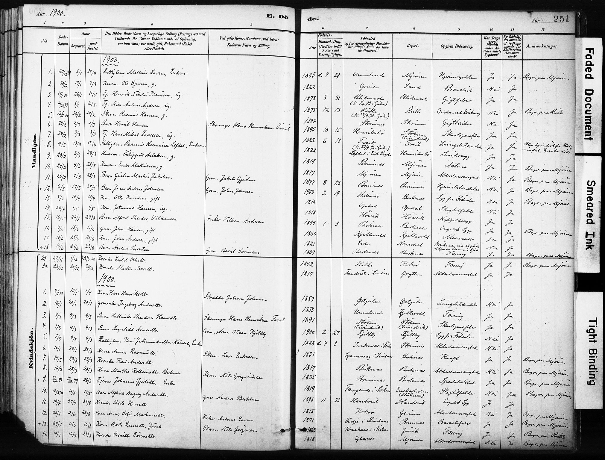 Gulen sokneprestembete, SAB/A-80201/H/Haa/Haab/L0001: Parish register (official) no. B 1, 1881-1905, p. 251