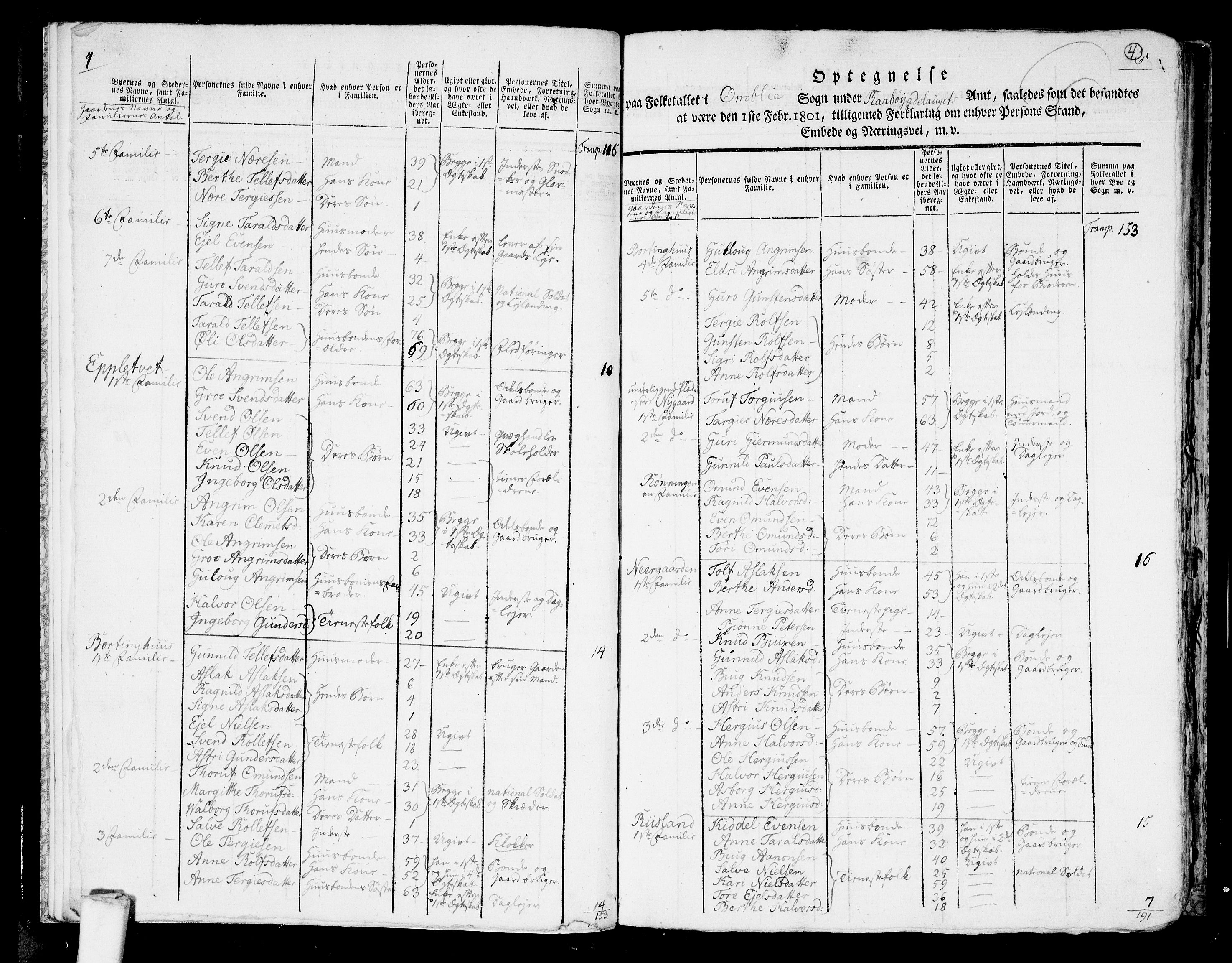 RA, 1801 census for 0929P Åmli, 1801, p. 3b-4a