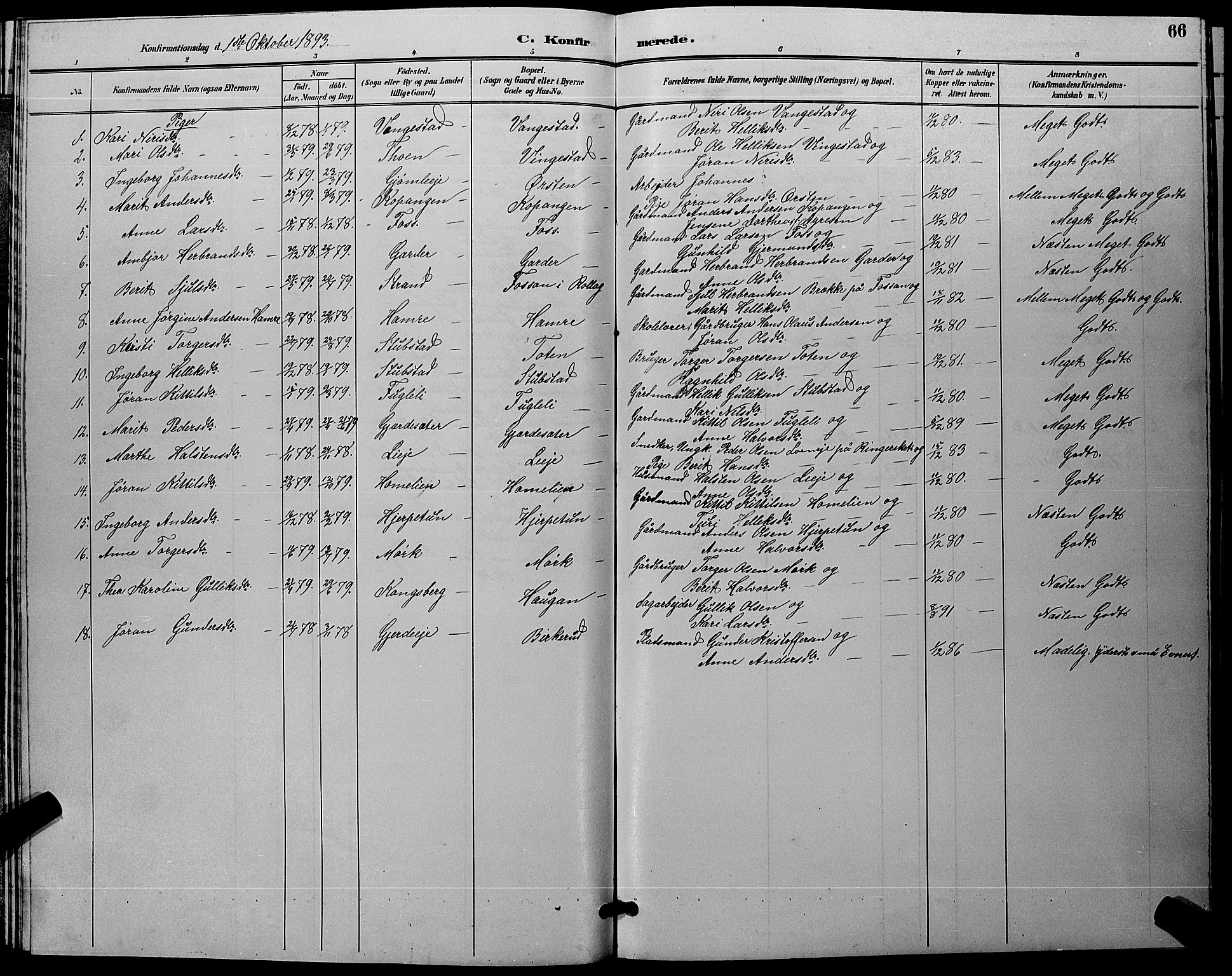 Flesberg kirkebøker, AV/SAKO-A-18/G/Ga/L0004: Parish register (copy) no. I 4 /1, 1890-1898, p. 66