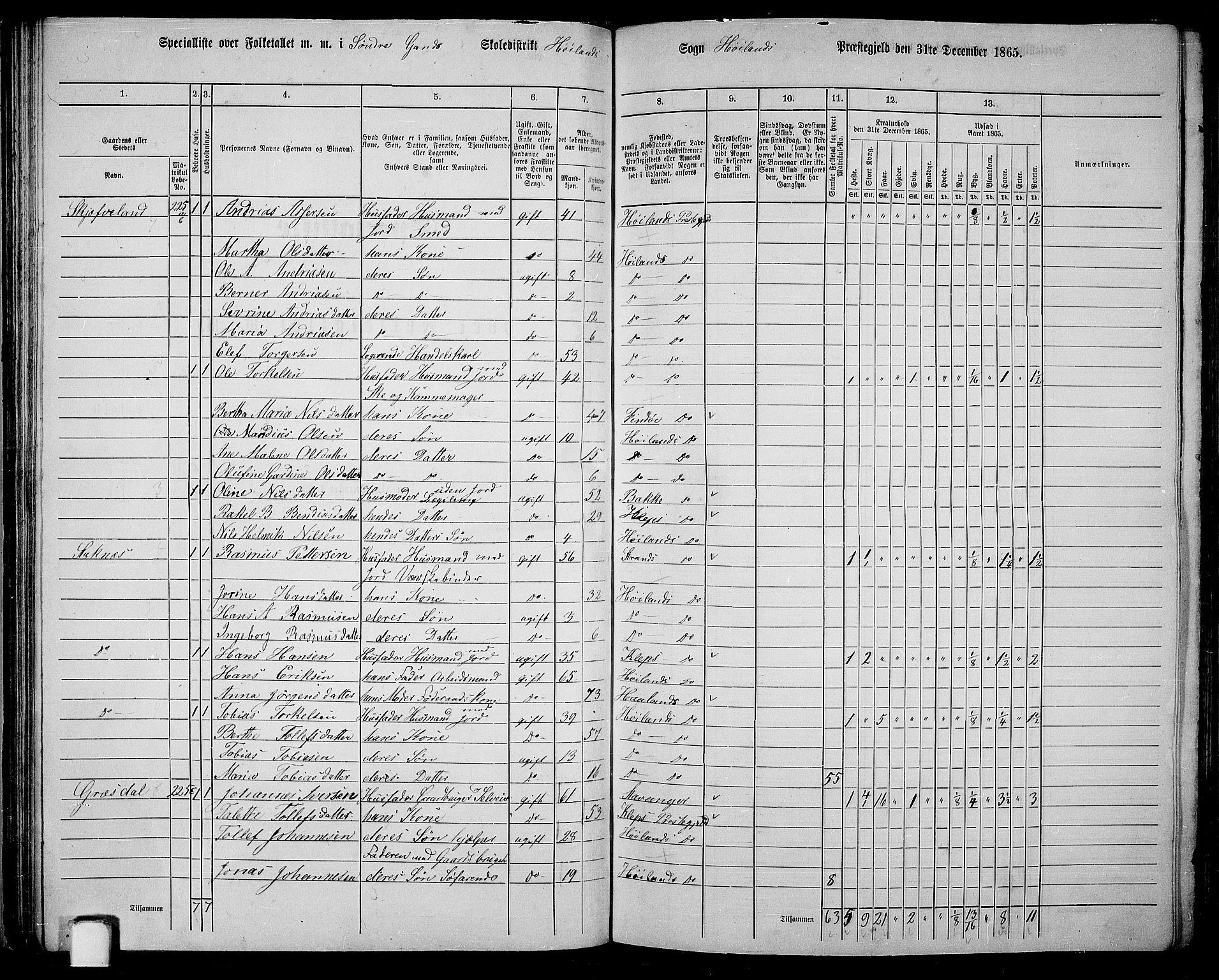 RA, 1865 census for Høyland, 1865, p. 56