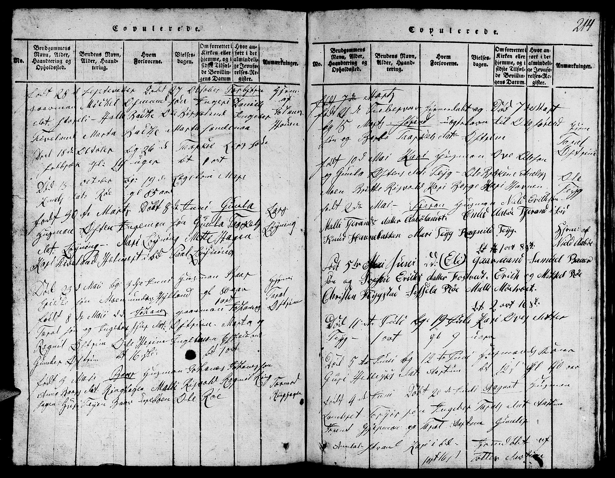 Suldal sokneprestkontor, SAST/A-101845/01/V/L0002: Parish register (copy) no. B 2, 1816-1845, p. 214