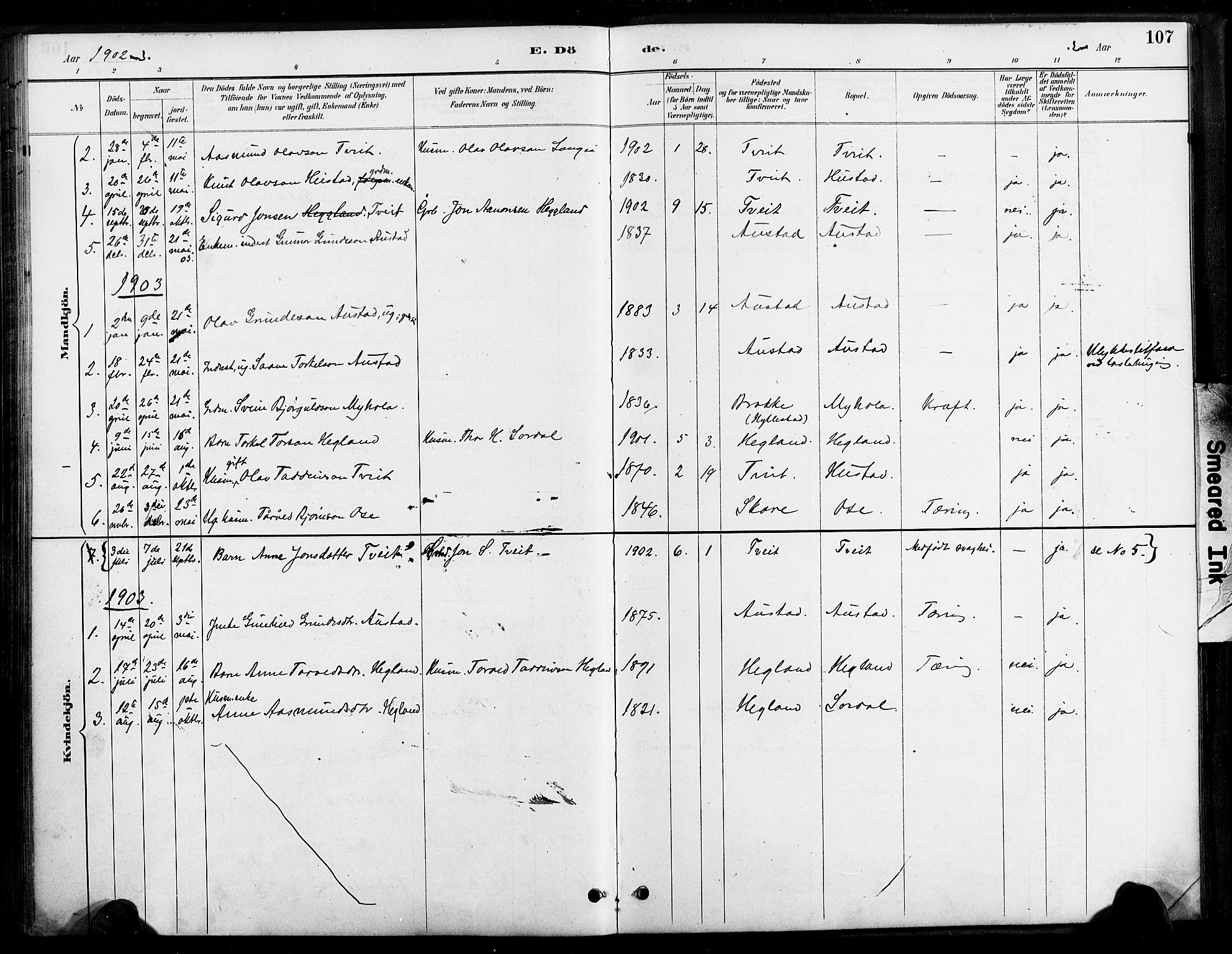 Bygland sokneprestkontor, SAK/1111-0006/F/Fa/Faa/L0001: Parish register (official) no. A 1, 1885-1908, p. 107