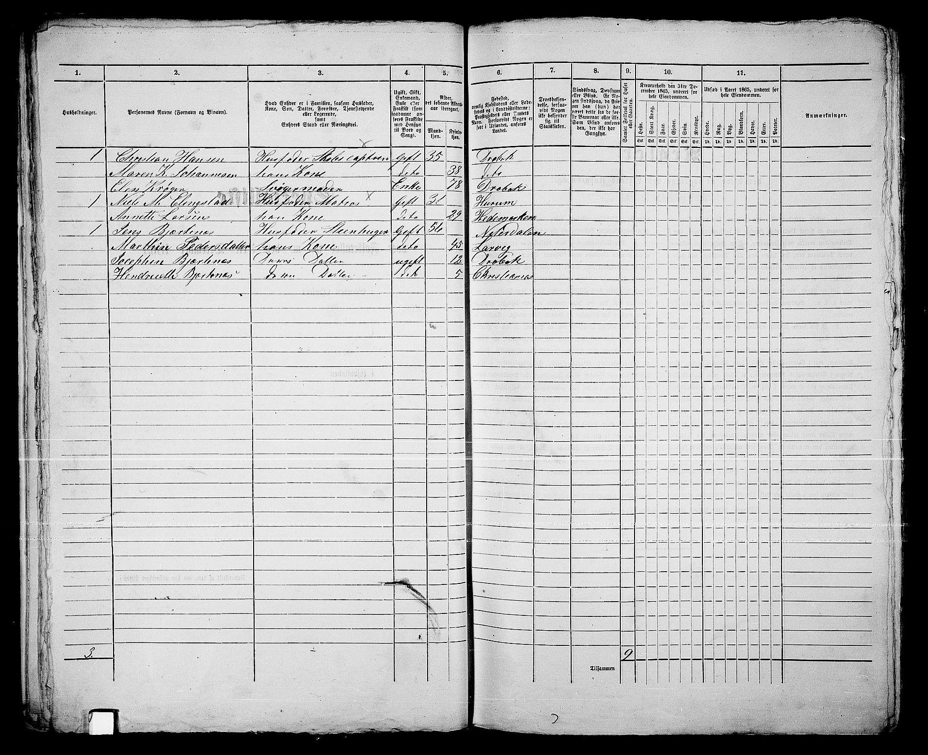 RA, 1865 census for Drøbak/Drøbak, 1865, p. 25