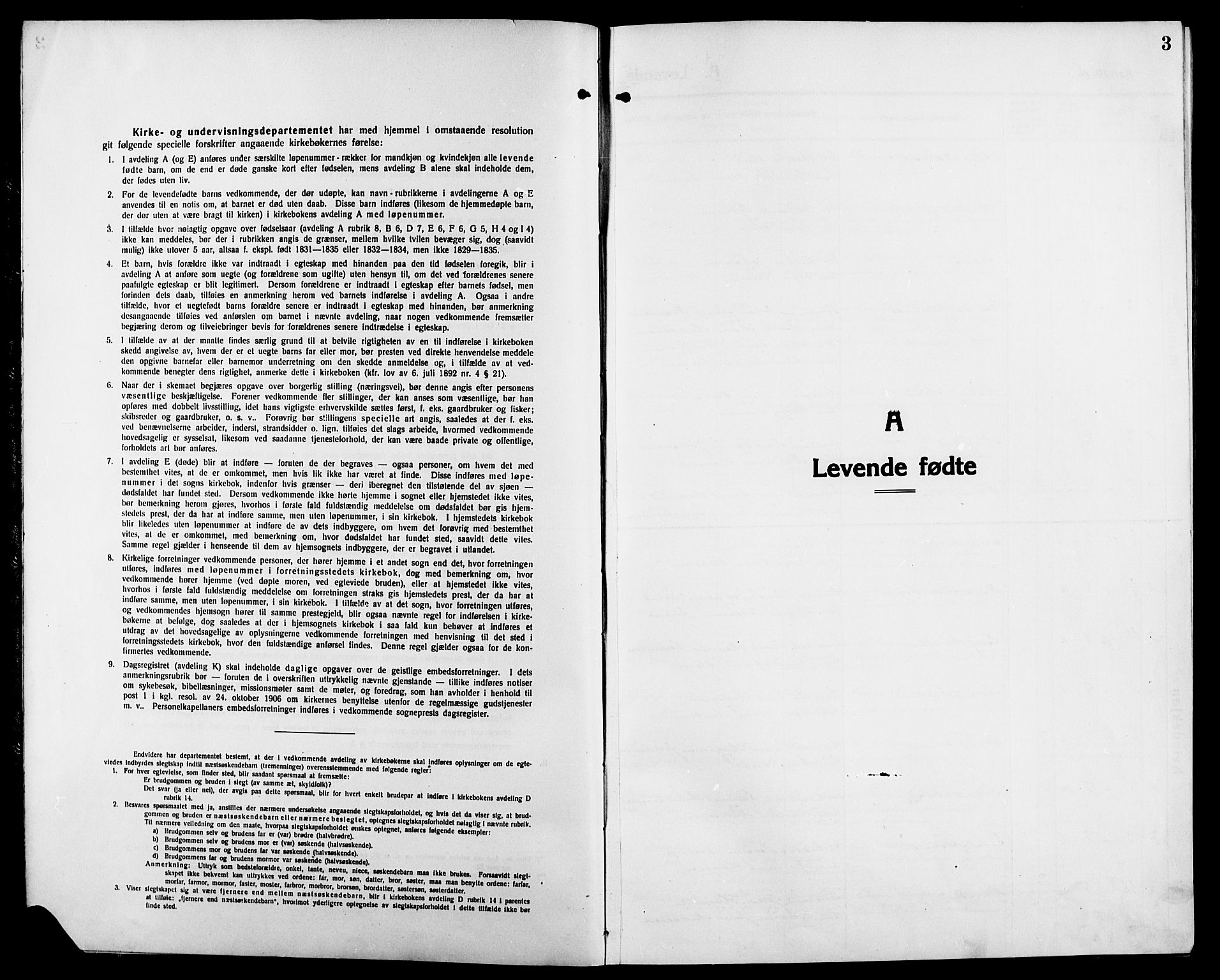 Skiptvet prestekontor Kirkebøker, SAO/A-20009/G/Ga/L0003: Parish register (copy) no. 3, 1916-1924, p. 3