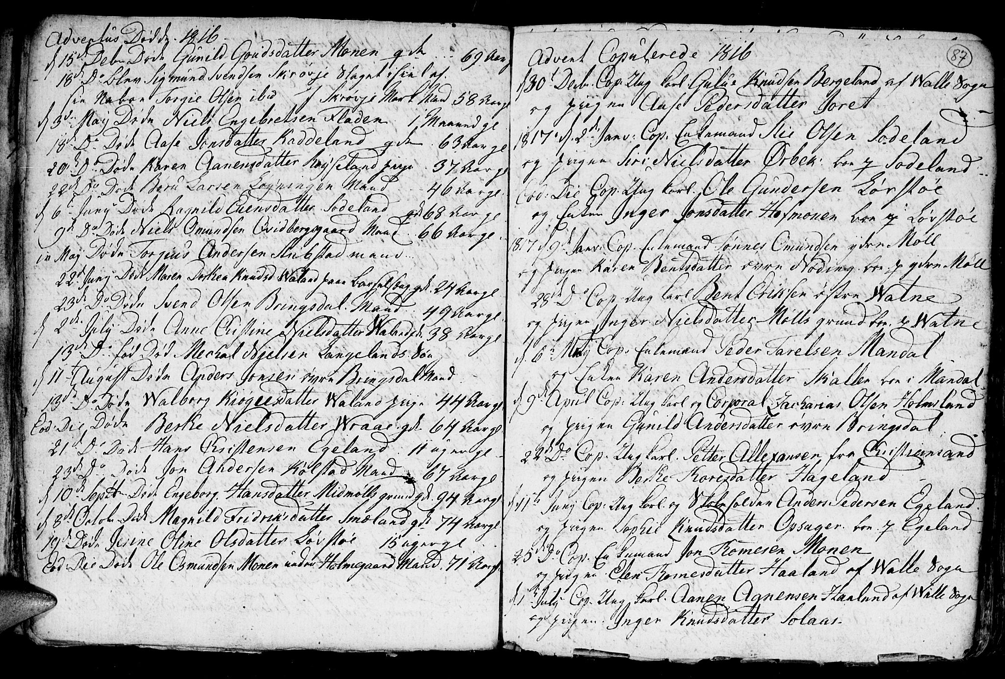 Holum sokneprestkontor, AV/SAK-1111-0022/F/Fb/Fba/L0001: Parish register (copy) no. B 1 /1, 1770-1820, p. 87