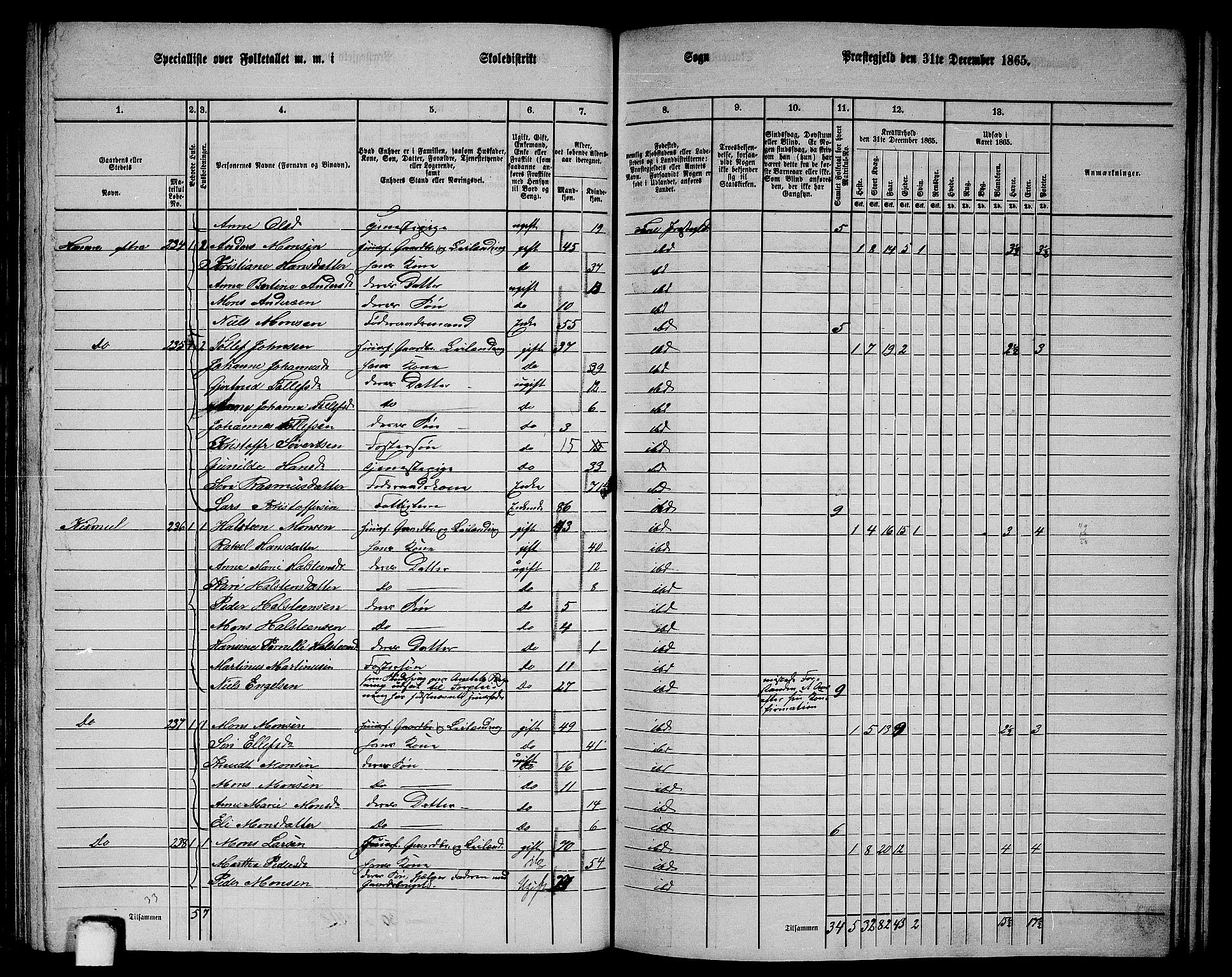 RA, 1865 census for Fana, 1865, p. 89