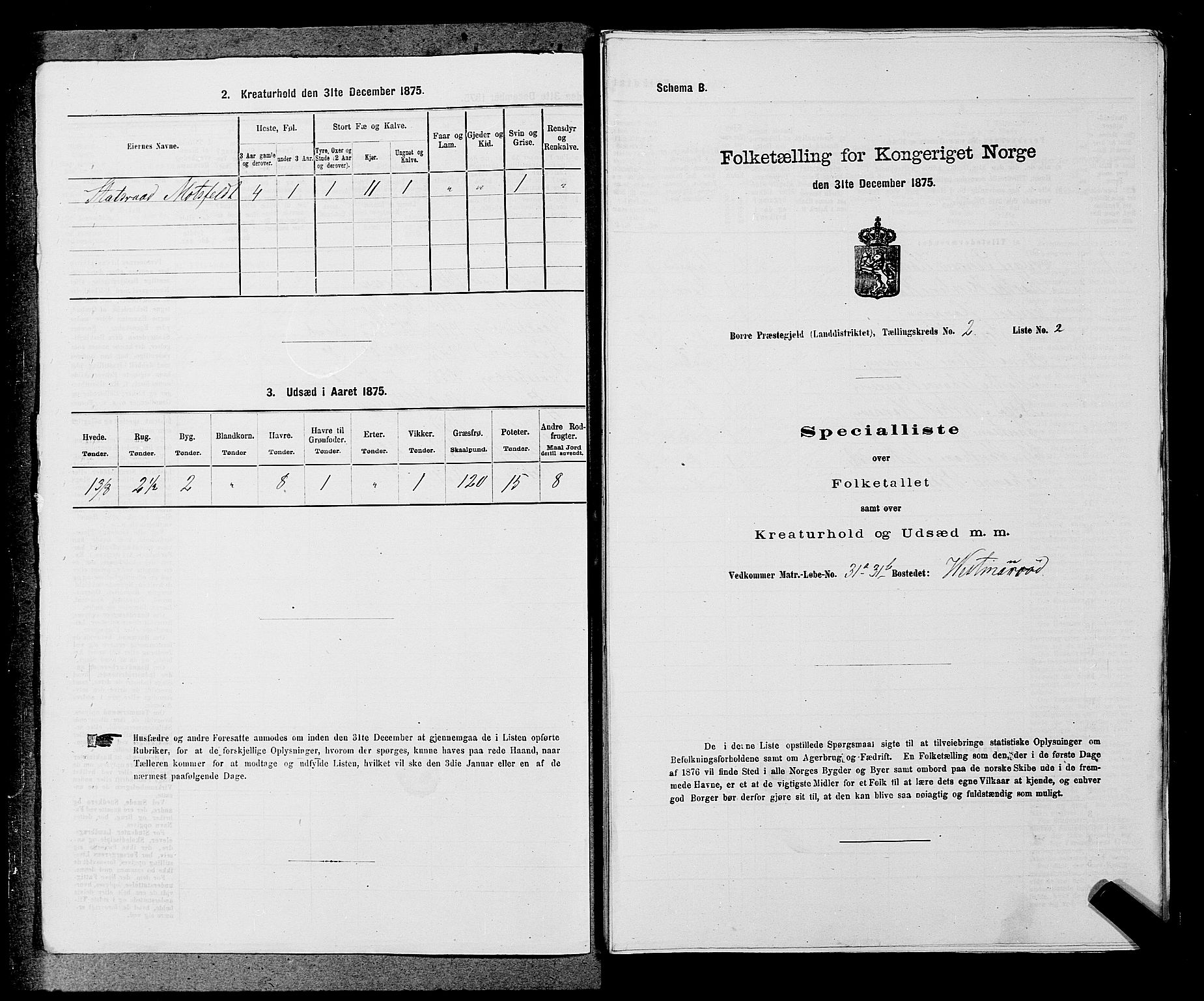 SAKO, 1875 census for 0717L Borre/Borre og Nykirke, 1875, p. 325