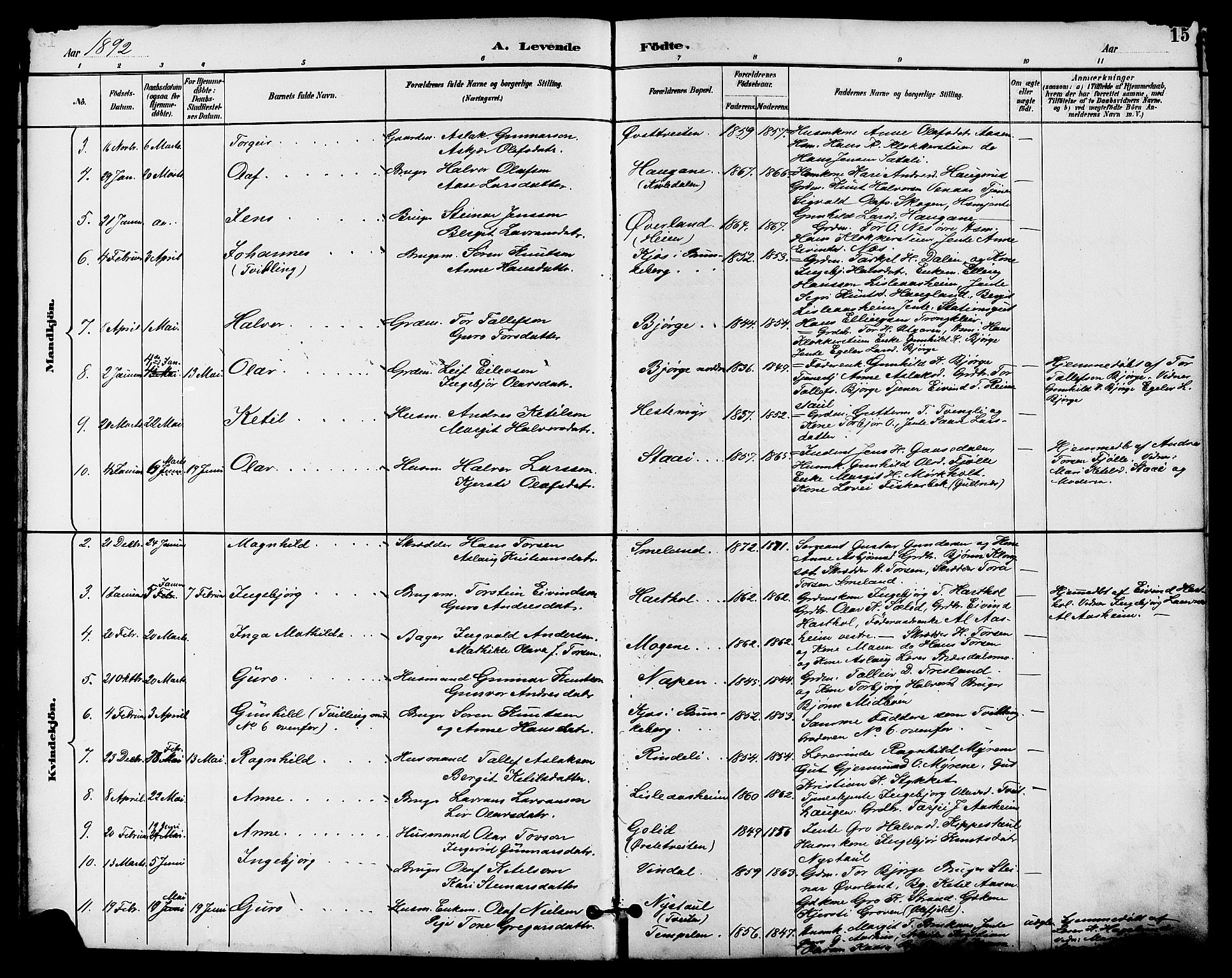 Seljord kirkebøker, SAKO/A-20/G/Ga/L0005: Parish register (copy) no. I 5, 1887-1914, p. 15