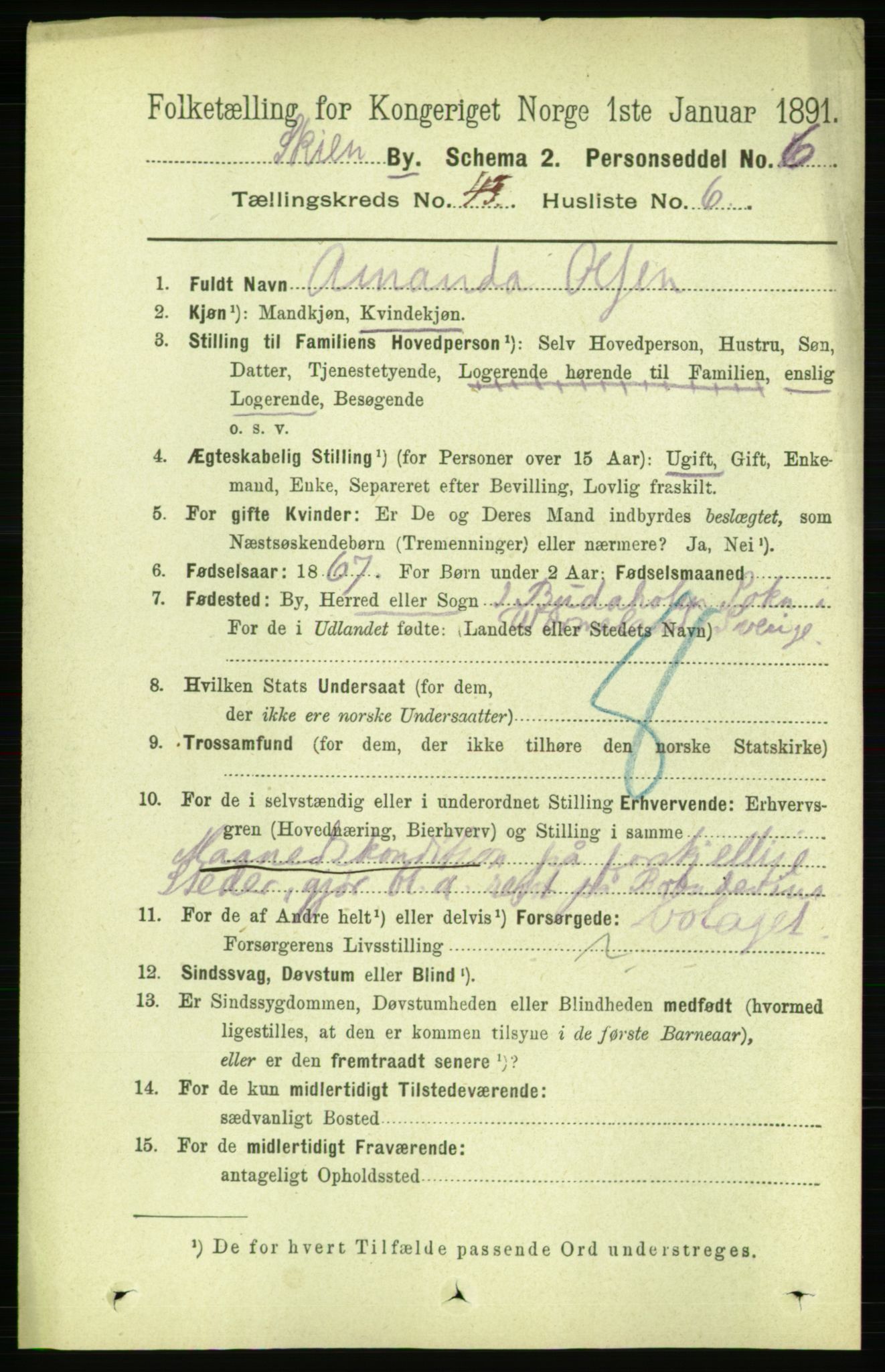 RA, 1891 census for 0806 Skien, 1891, p. 8621