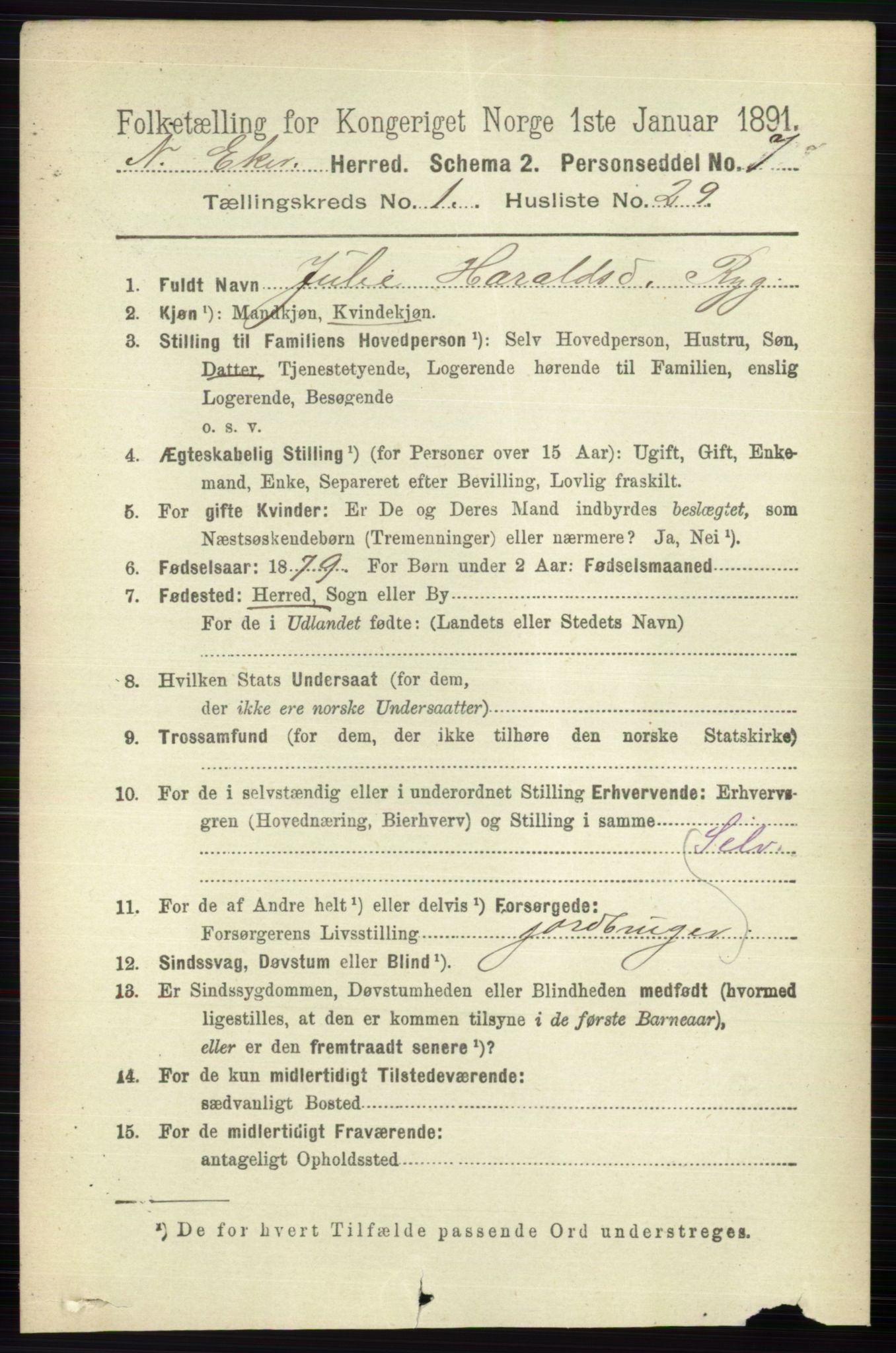 RA, 1891 census for 0625 Nedre Eiker, 1891, p. 238