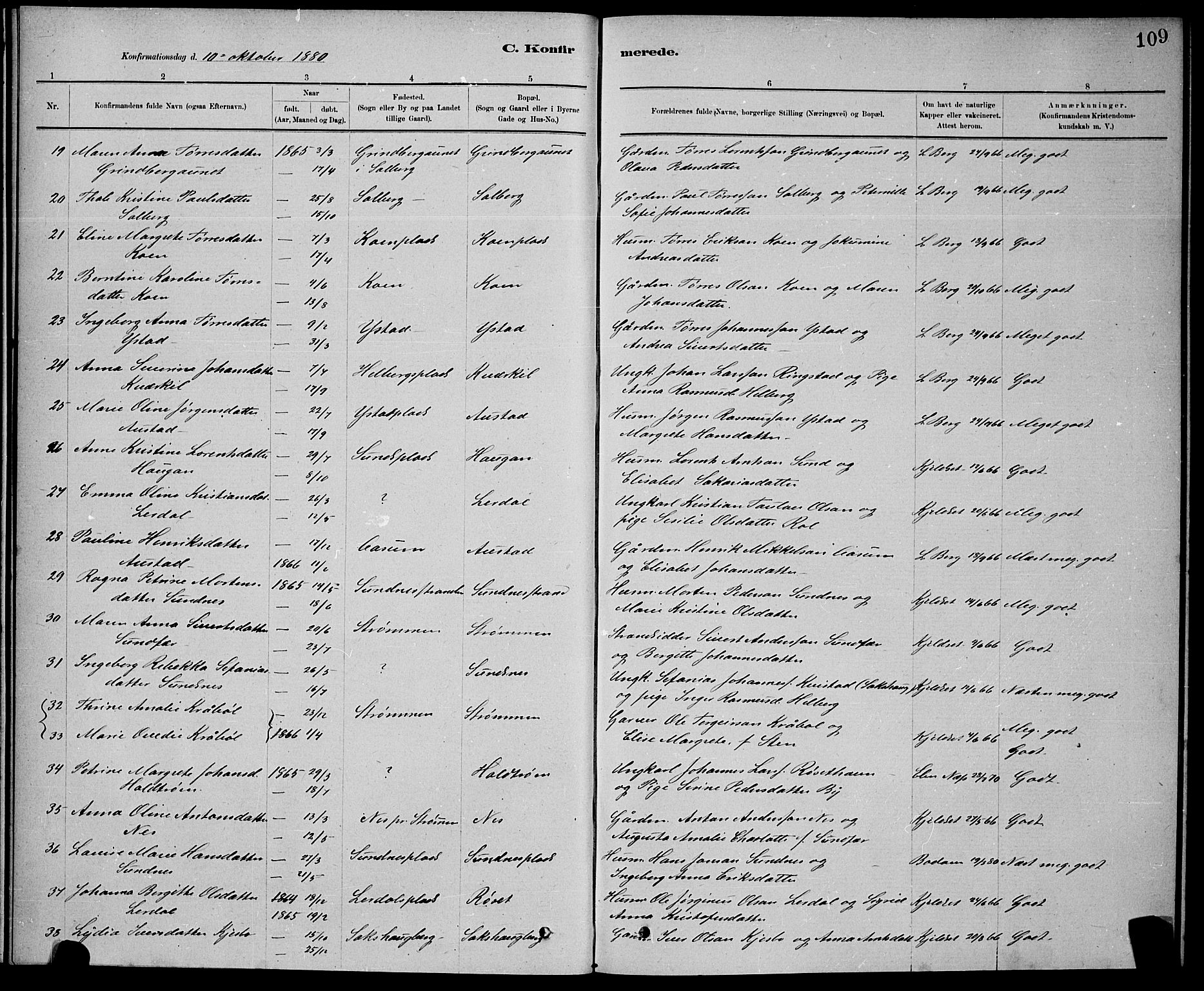 Ministerialprotokoller, klokkerbøker og fødselsregistre - Nord-Trøndelag, AV/SAT-A-1458/730/L0301: Parish register (copy) no. 730C04, 1880-1897, p. 109