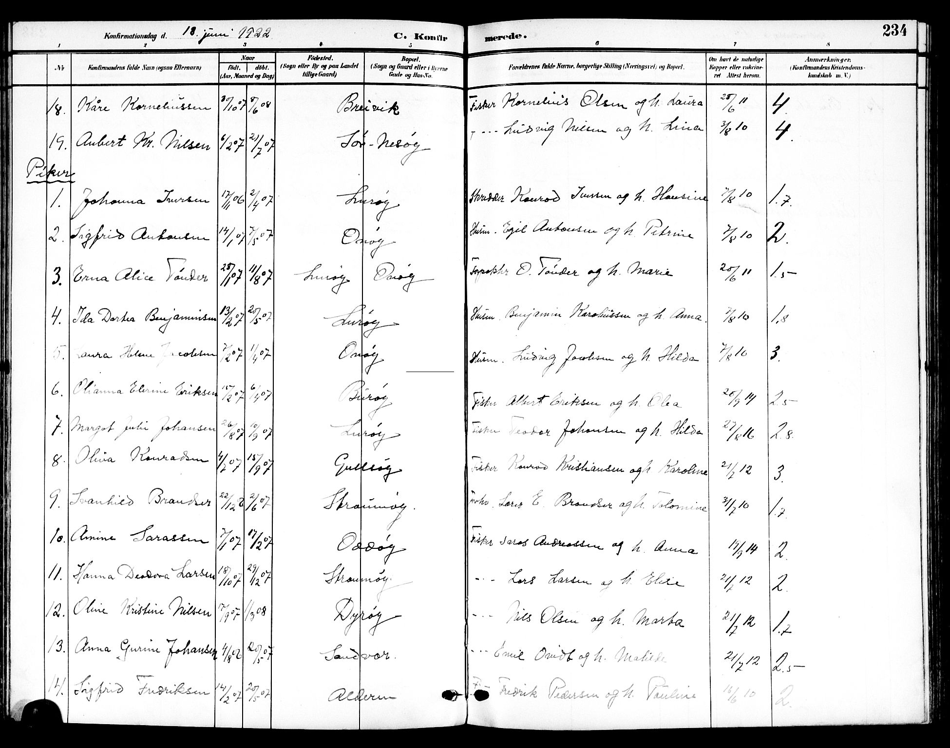 Ministerialprotokoller, klokkerbøker og fødselsregistre - Nordland, AV/SAT-A-1459/839/L0569: Parish register (official) no. 839A06, 1903-1922, p. 234