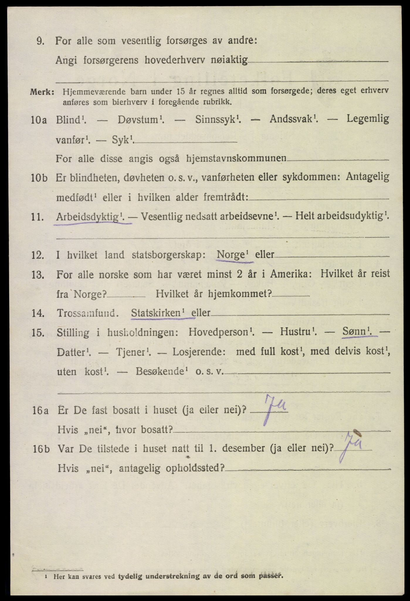 SAK, 1920 census for Hornnes, 1920, p. 808