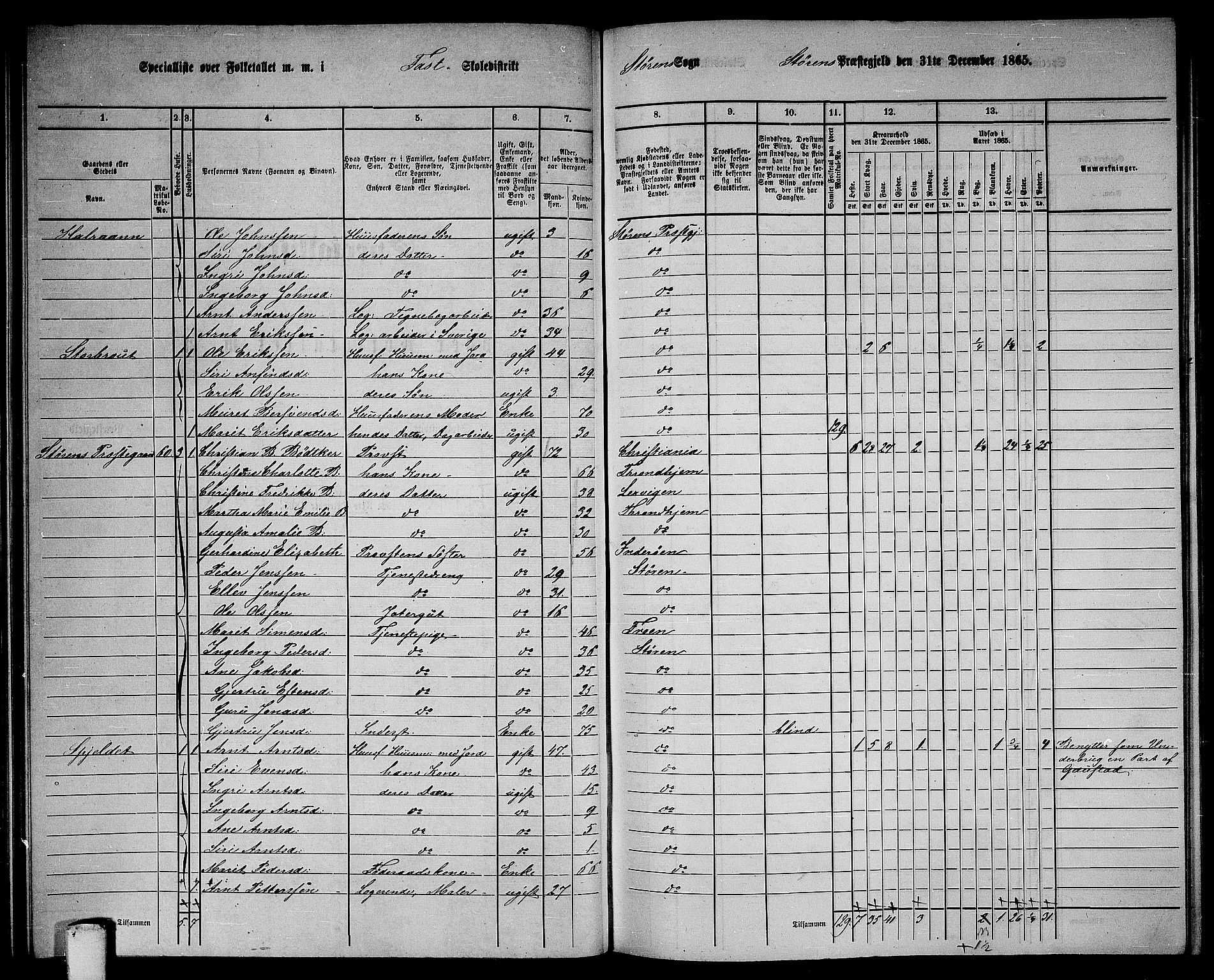 RA, 1865 census for Støren, 1865, p. 99