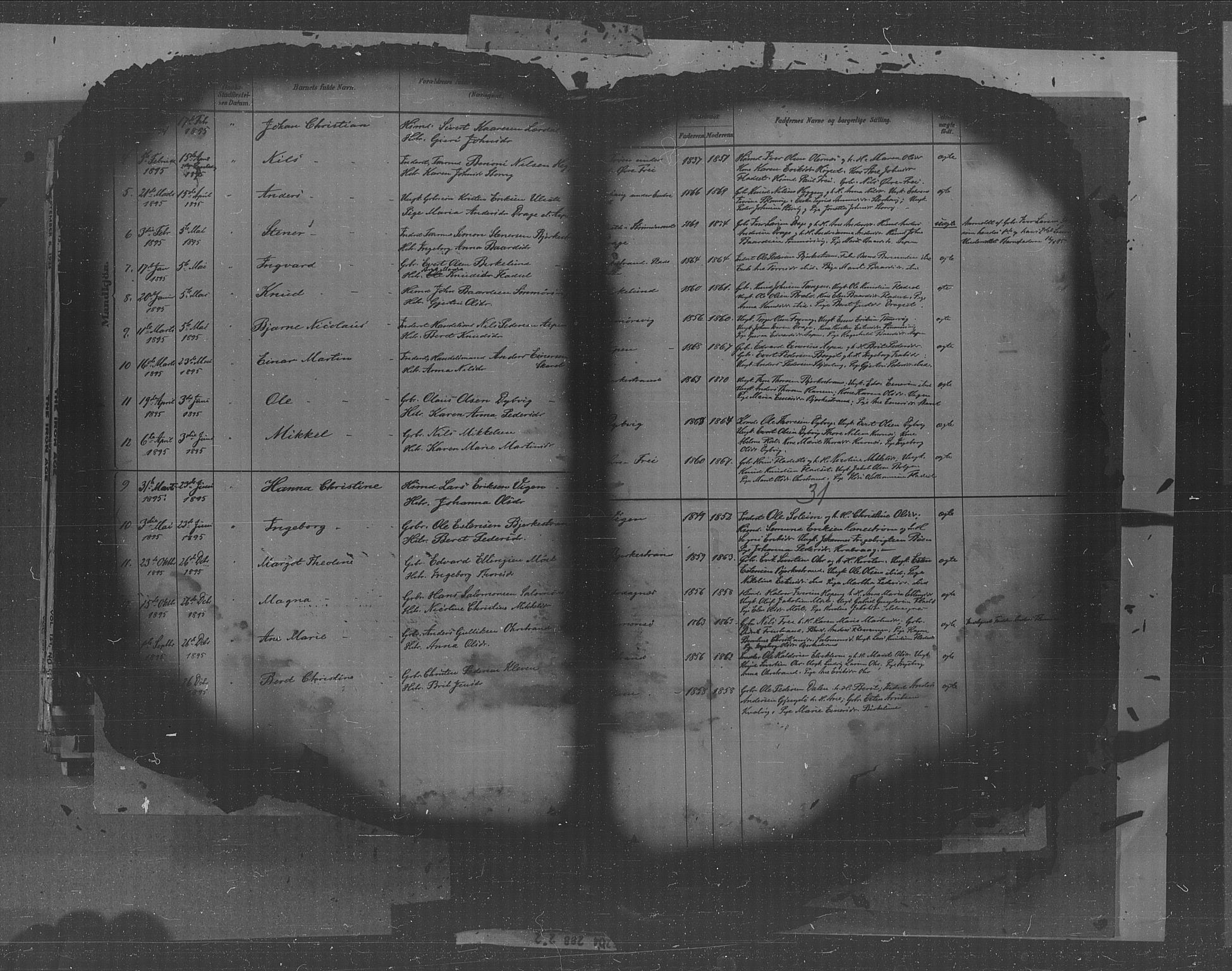 Kristiansund sokneprestkontor, AV/SAT-A-1068/1/I/I1: Parish register (official) no. 30, 1880-1919, p. 31