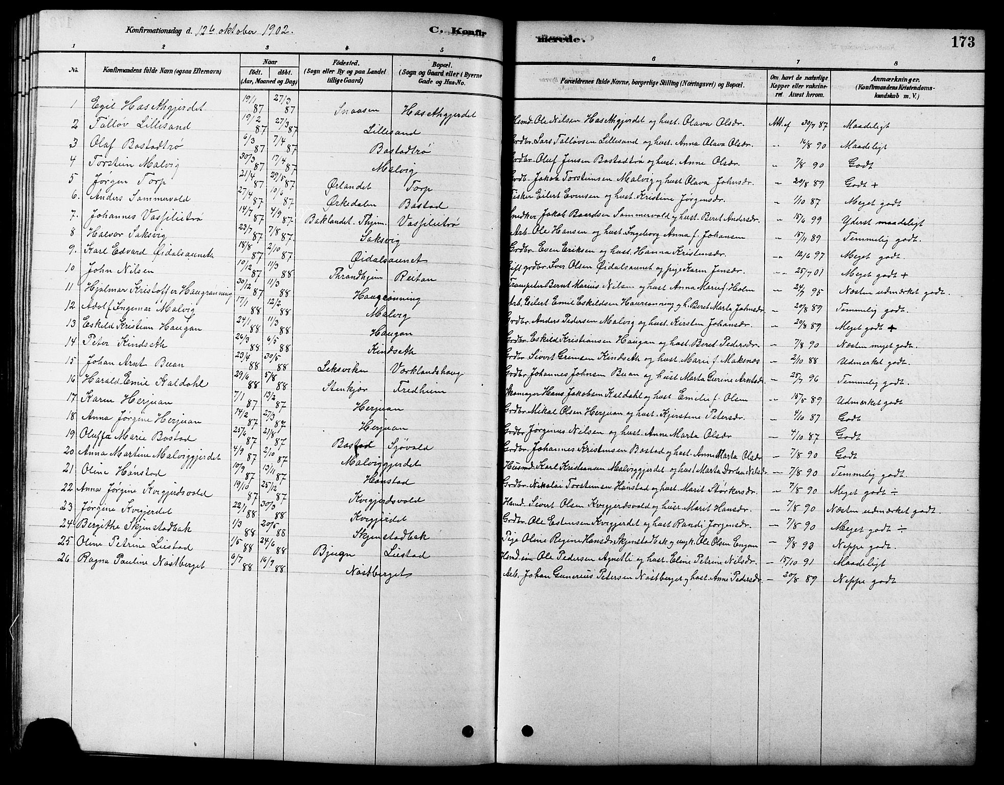 Ministerialprotokoller, klokkerbøker og fødselsregistre - Sør-Trøndelag, SAT/A-1456/616/L0423: Parish register (copy) no. 616C06, 1878-1903, p. 173