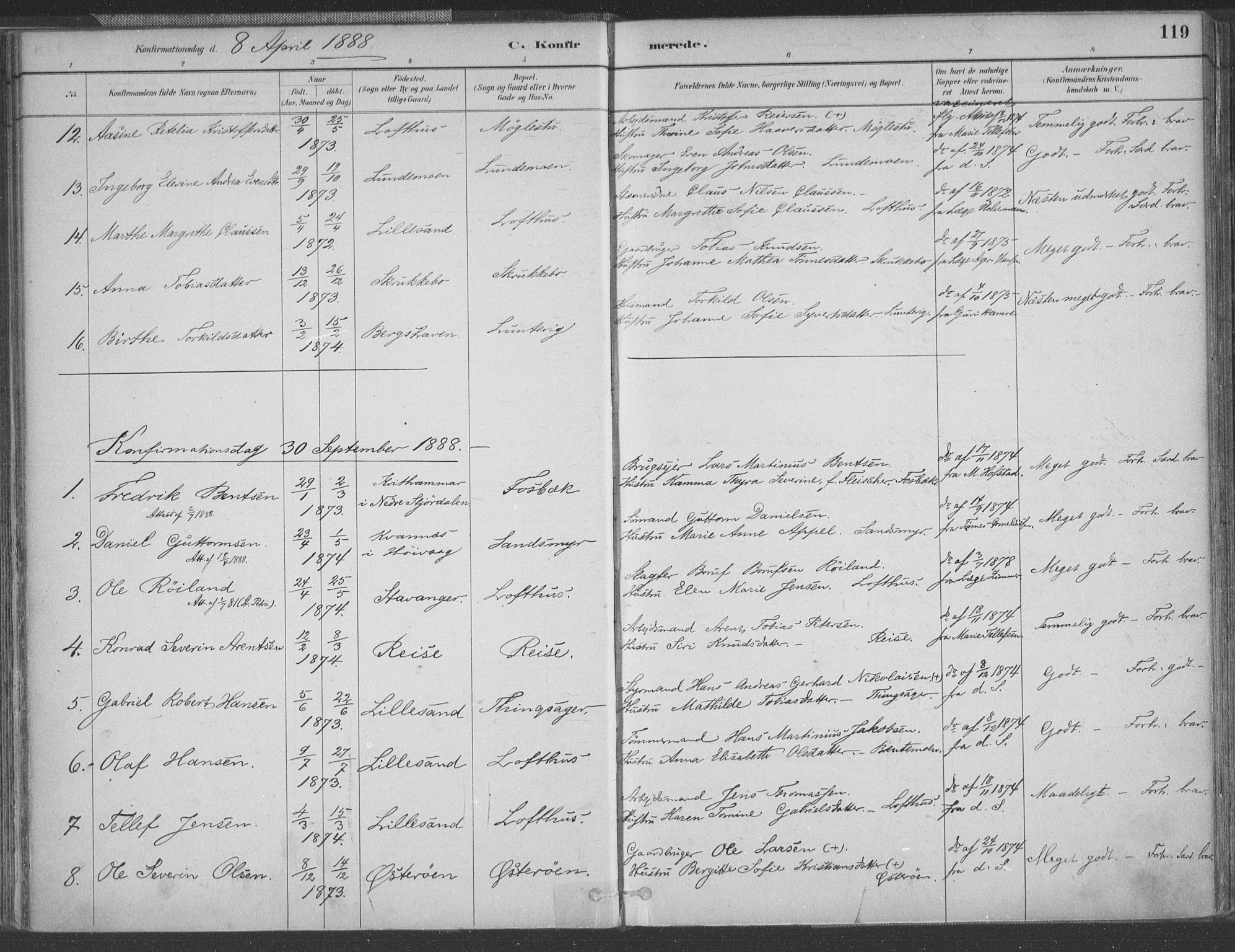 Vestre Moland sokneprestkontor, AV/SAK-1111-0046/F/Fa/Fab/L0009: Parish register (official) no. A 9, 1884-1899, p. 119