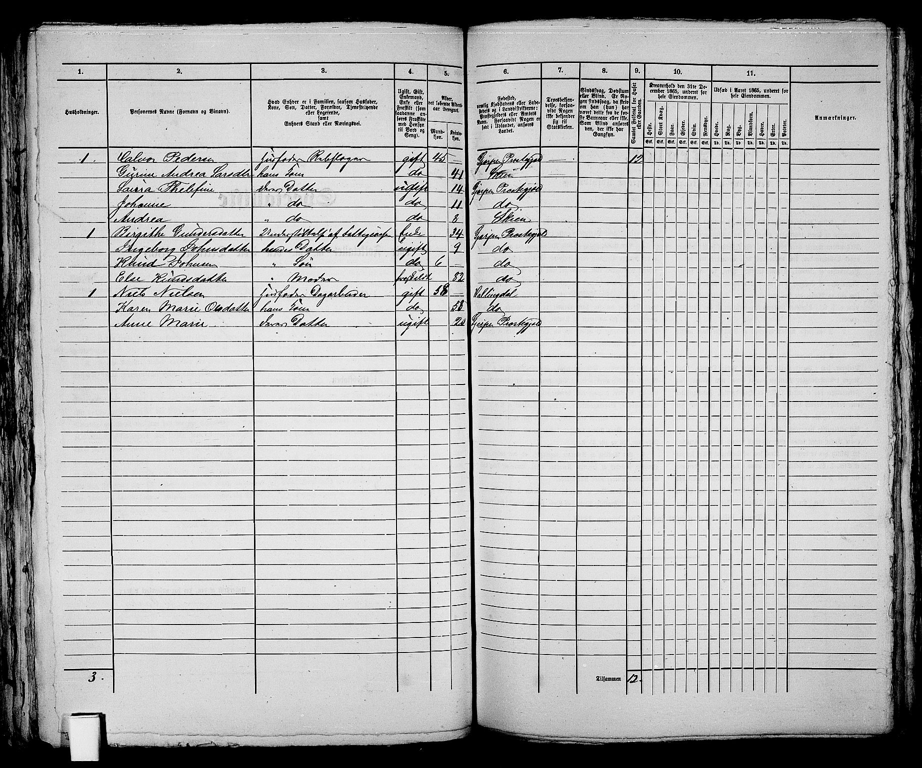 RA, 1865 census for Skien, 1865, p. 180