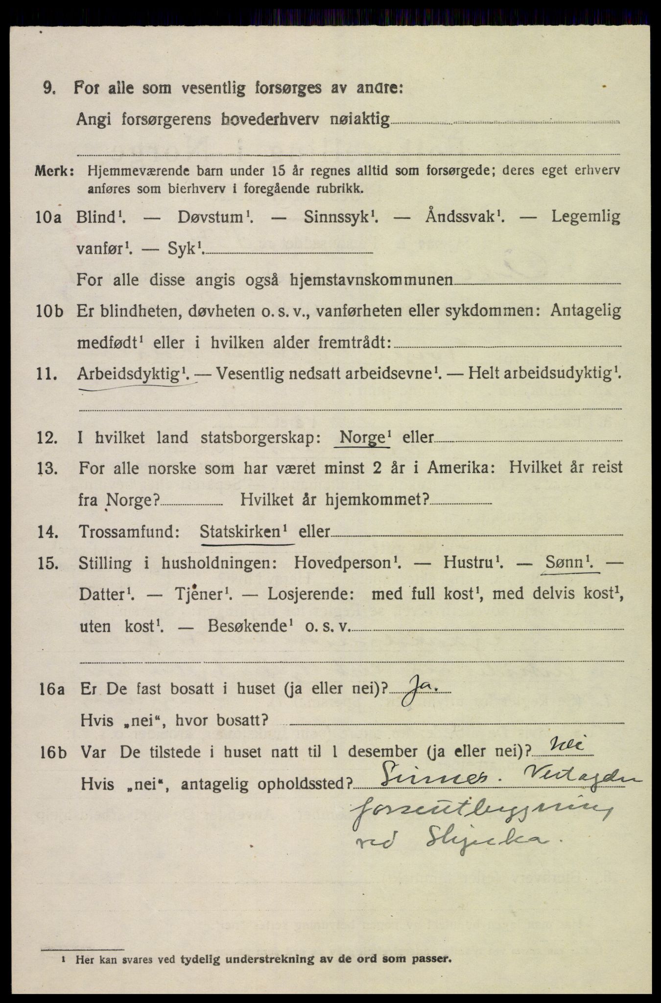 SAK, 1920 census for Åseral, 1920, p. 1207