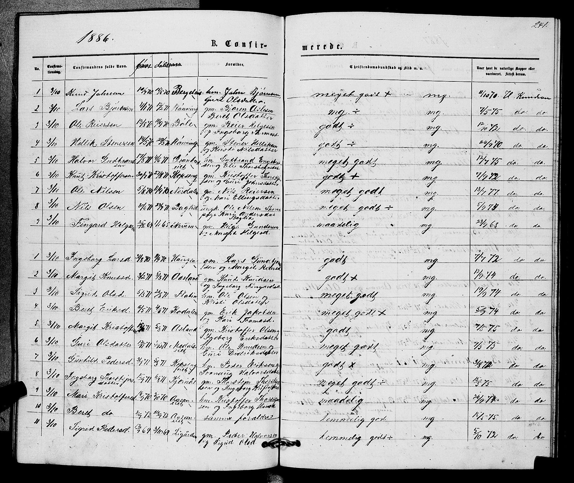 Sigdal kirkebøker, AV/SAKO-A-245/G/Gb/L0002: Parish register (copy) no. II 2, 1875-1900, p. 241