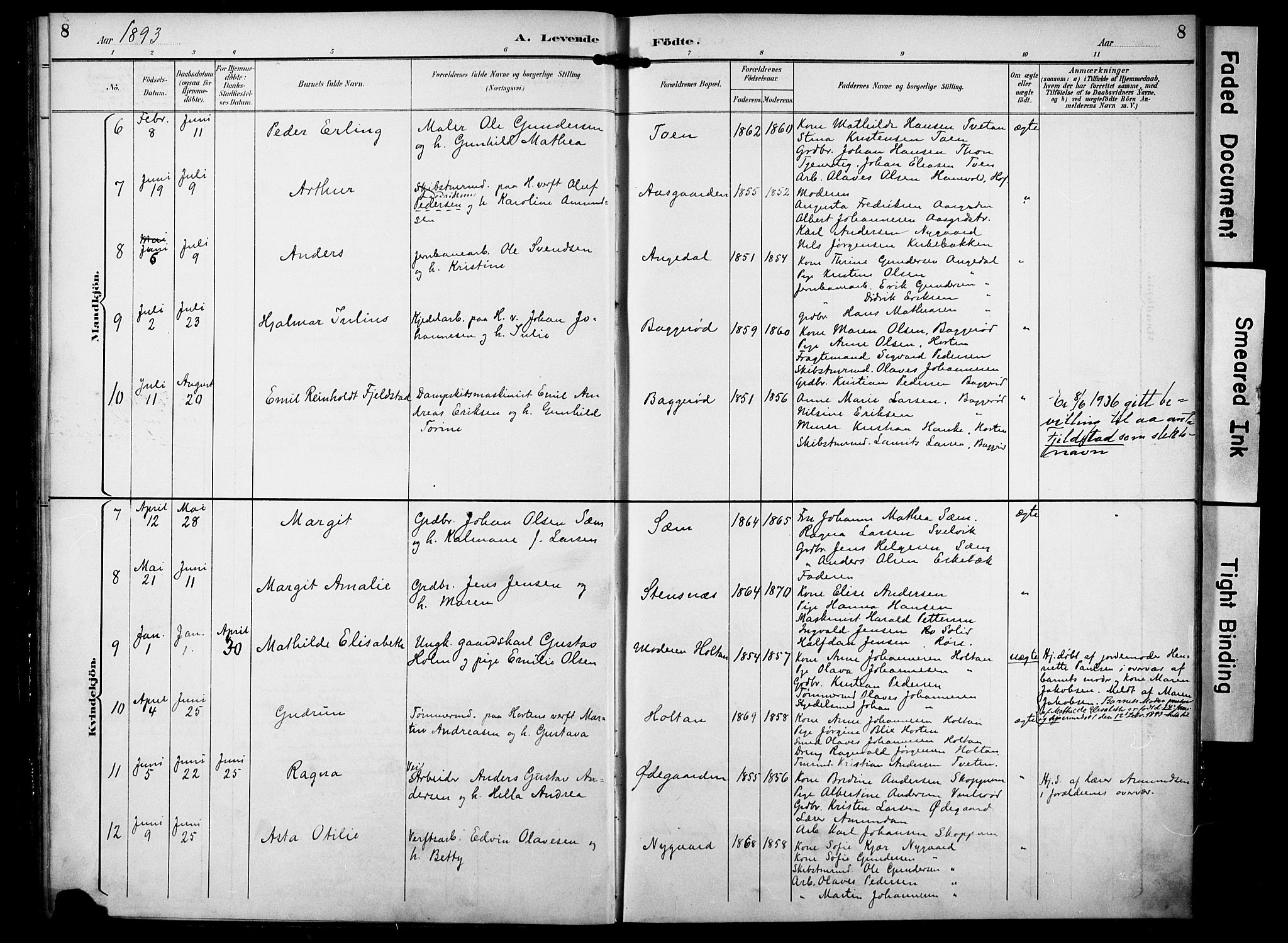 Borre kirkebøker, SAKO/A-338/F/Fa/L0010: Parish register (official) no. I 10, 1892-1896, p. 8