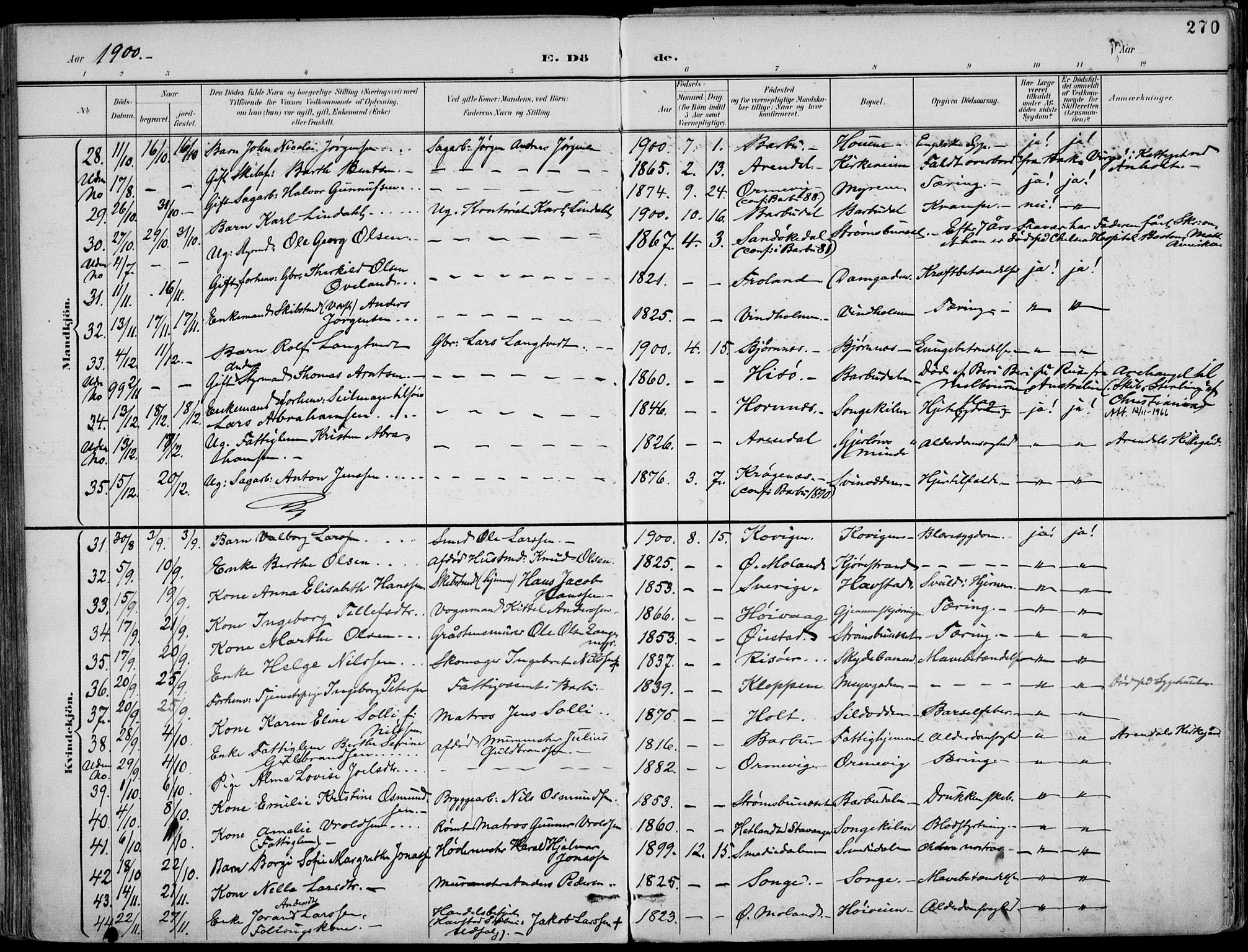 Barbu sokneprestkontor, AV/SAK-1111-0003/F/Fa/L0005: Parish register (official) no. A 5, 1899-1909, p. 270