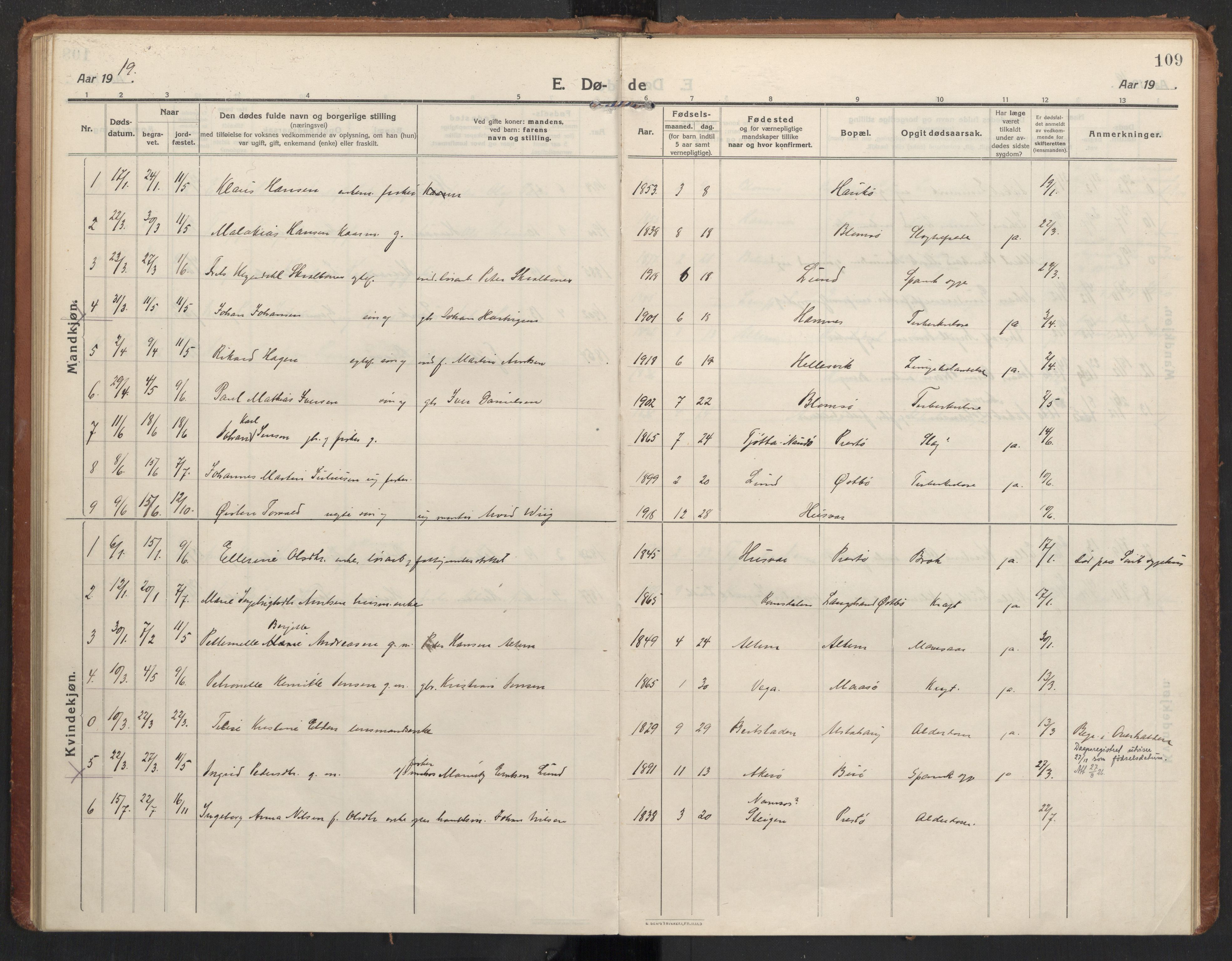 Ministerialprotokoller, klokkerbøker og fødselsregistre - Nordland, AV/SAT-A-1459/830/L0456: Parish register (official) no. 830A20, 1914-1937, p. 109