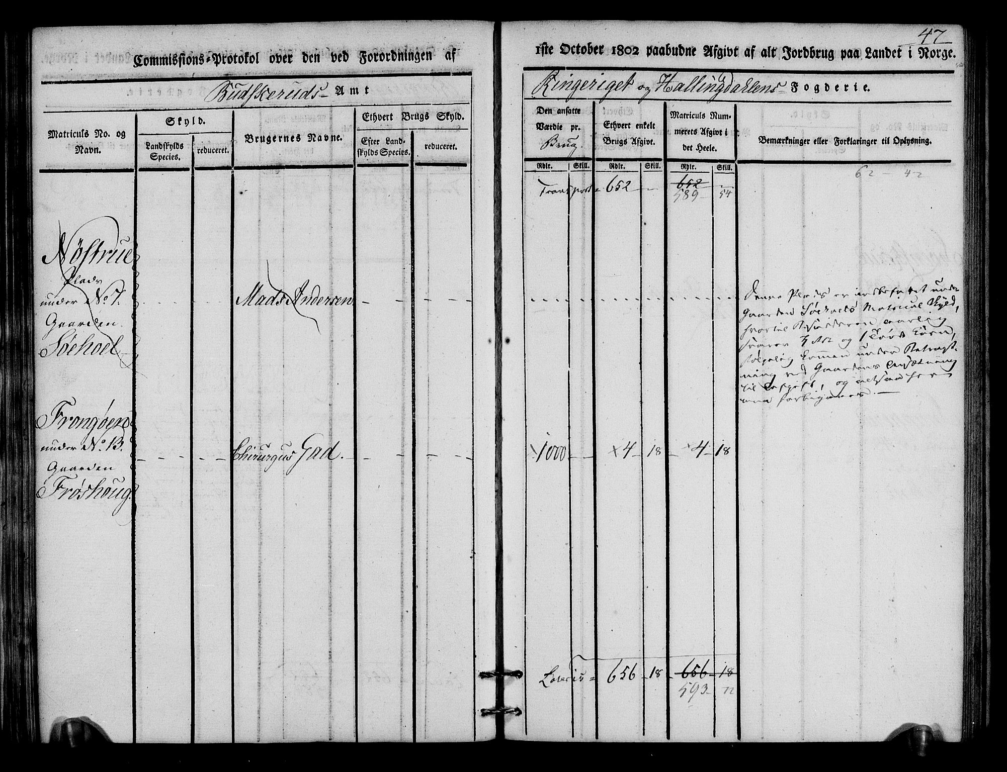 Rentekammeret inntil 1814, Realistisk ordnet avdeling, AV/RA-EA-4070/N/Ne/Nea/L0046: Ringerike og Hallingdal fogderi. Kommisjonsprotokoll for Hole prestegjeld, 1803, p. 48